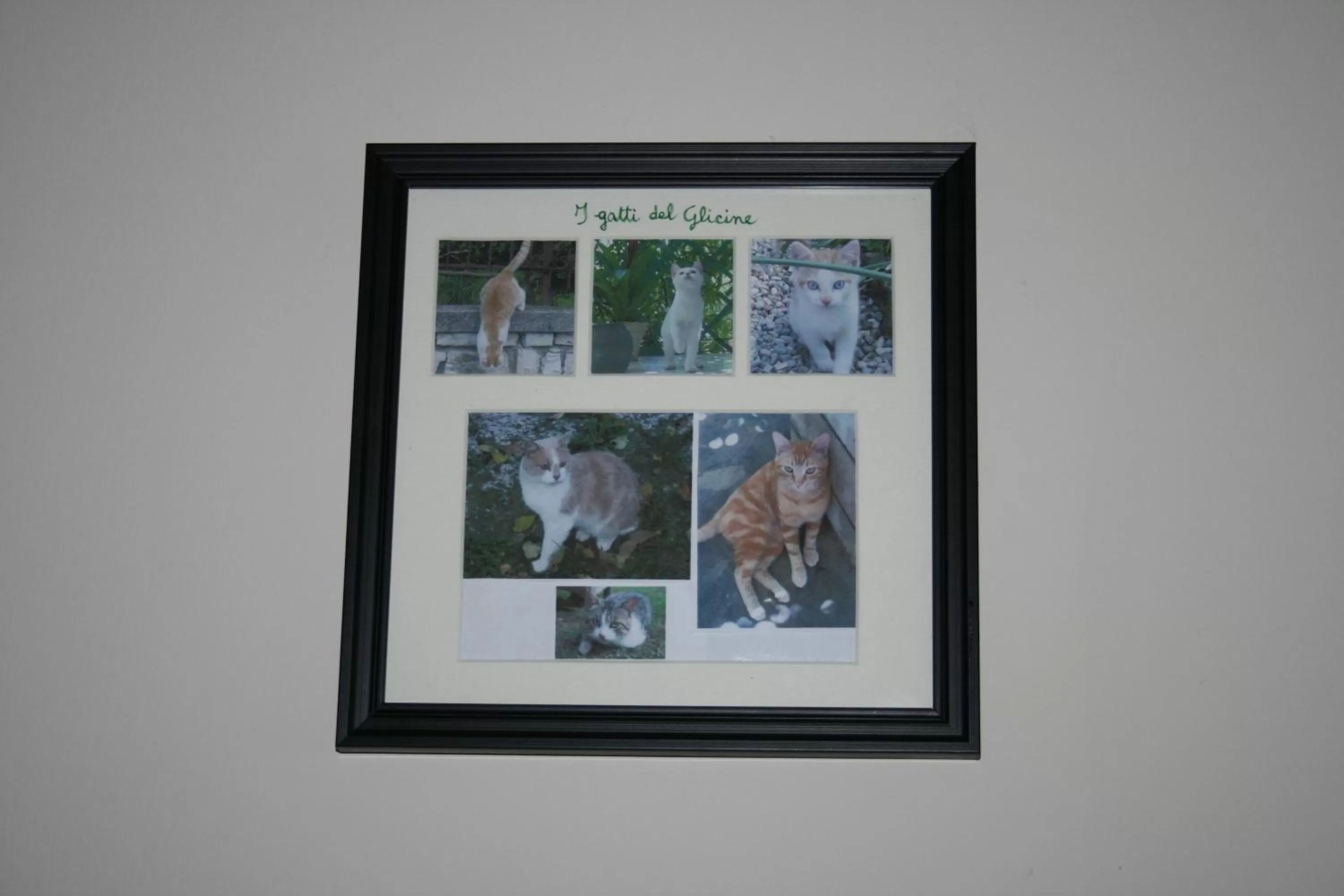 Decorative detail in B&B Il Glicine