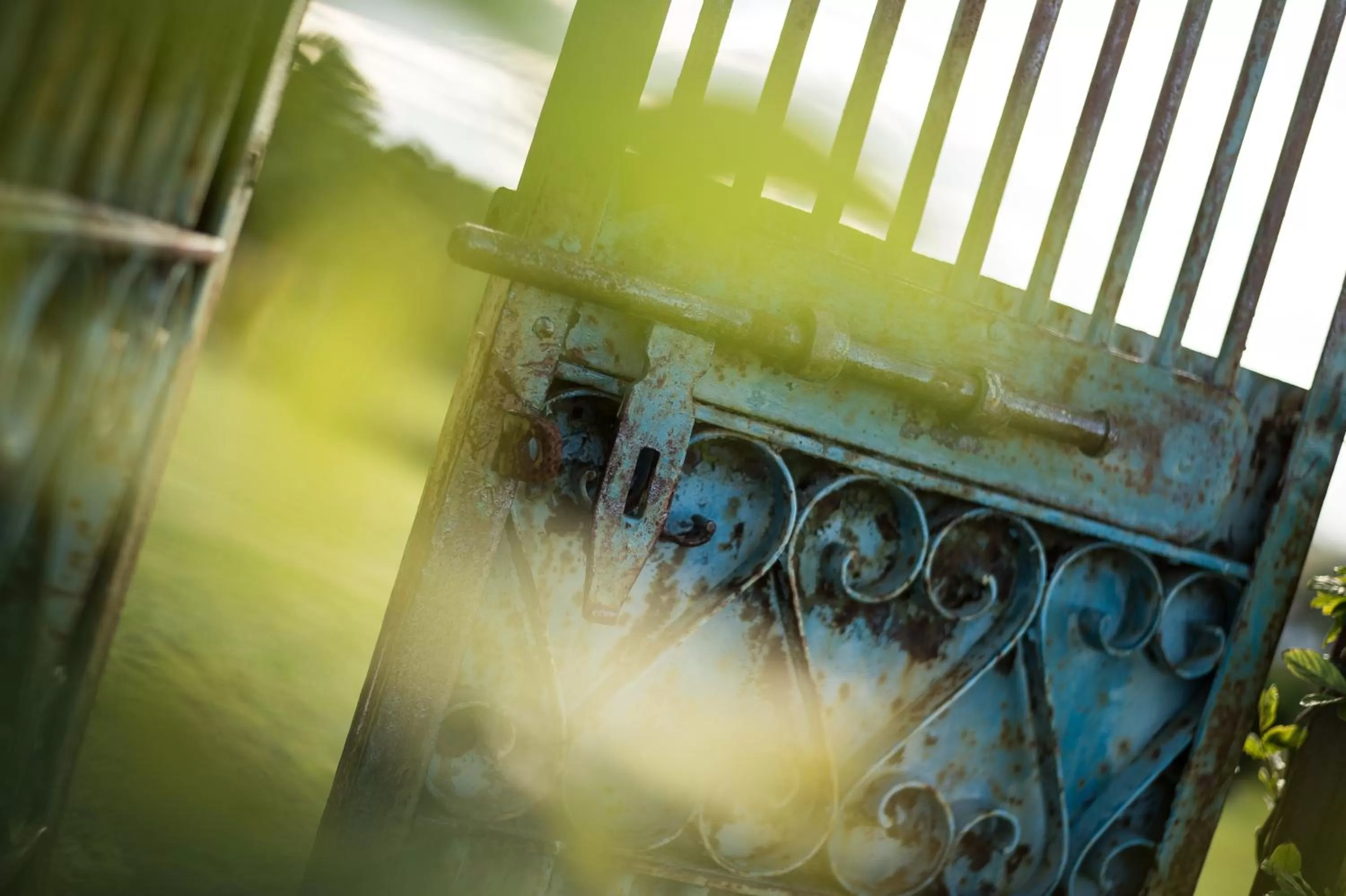 Garden in Ferme Elhorga