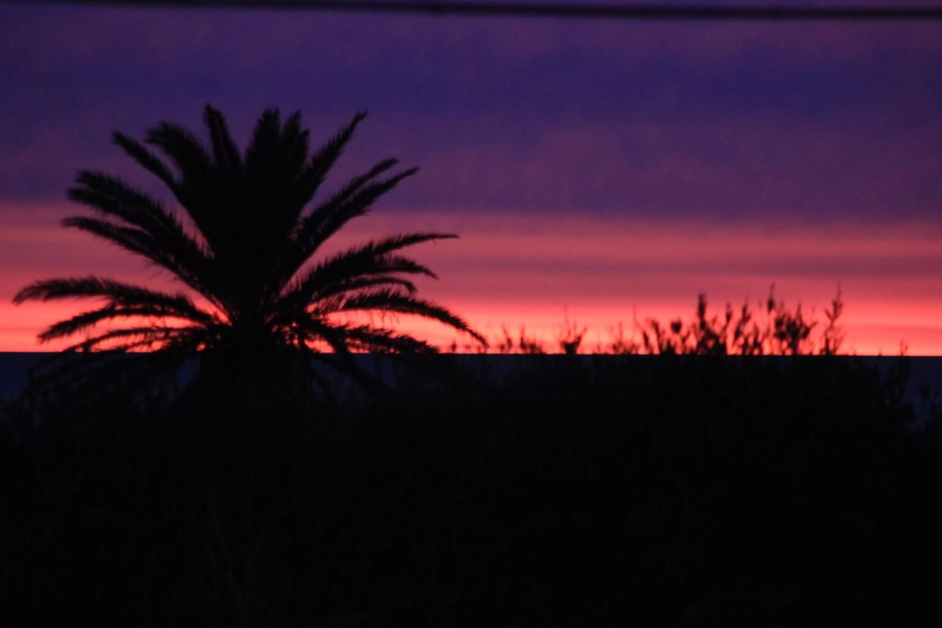 Sea view in Zen Boutique Apart Hotel