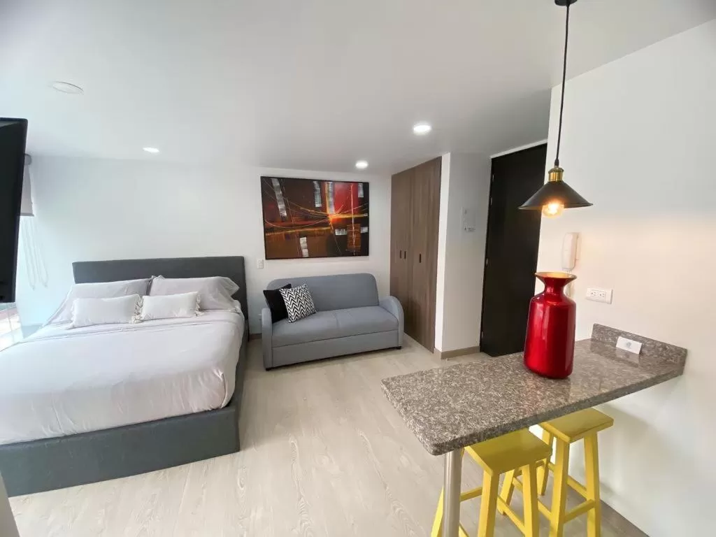 Standard Studio in Spacio 30