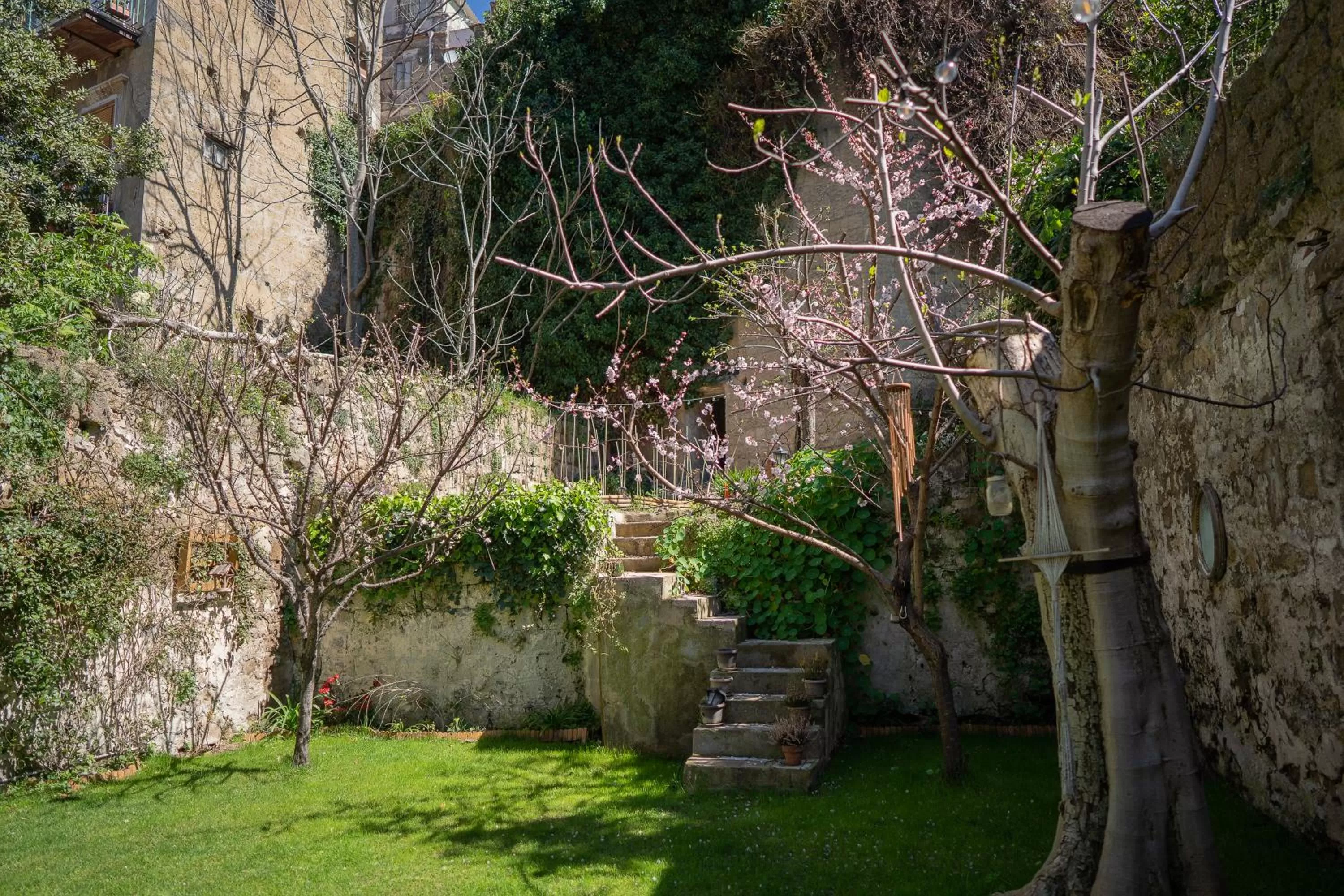 Garden in Casa Vayu - Rooms & Garden