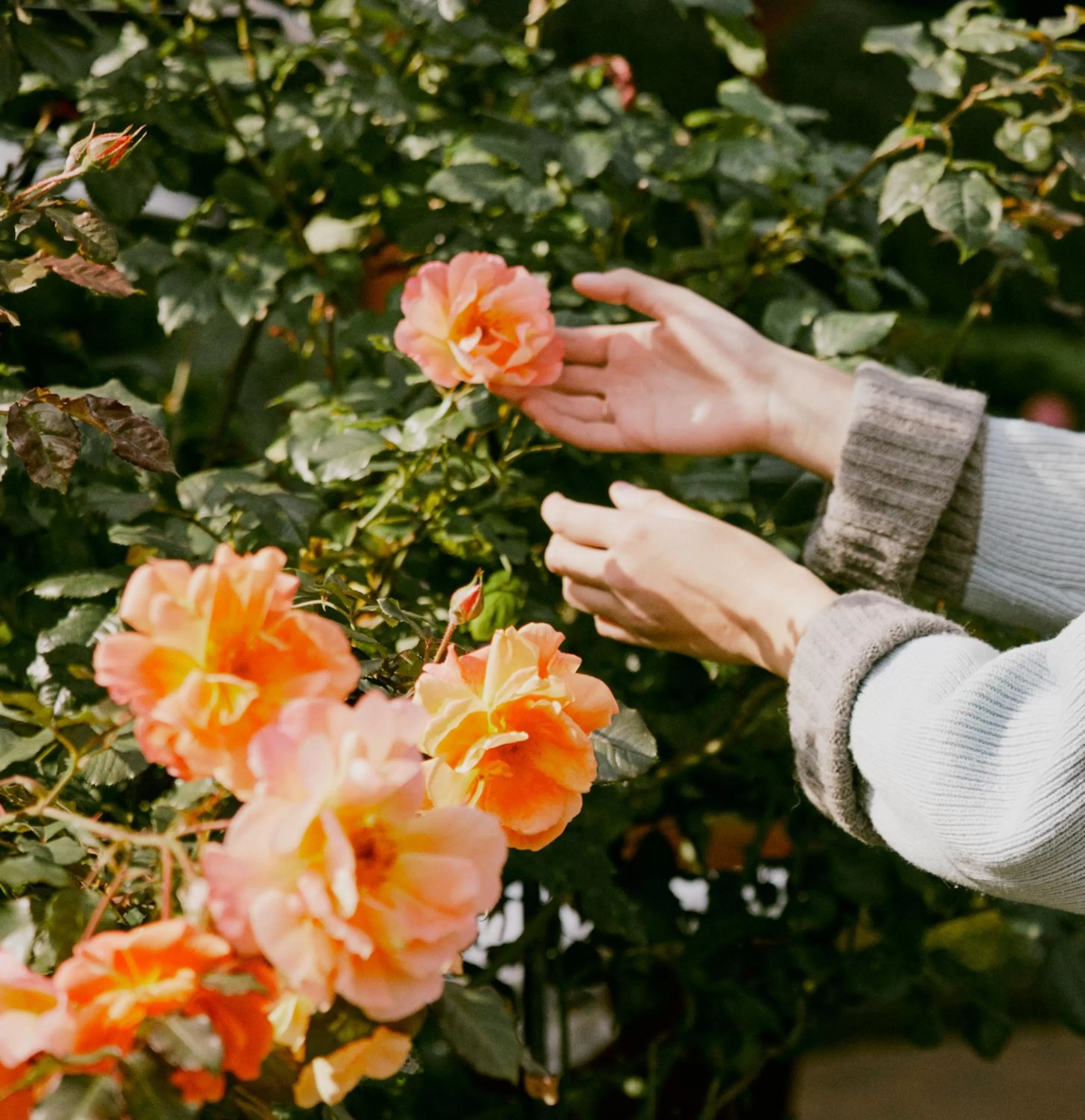 Property building in Hotel Villa Eva