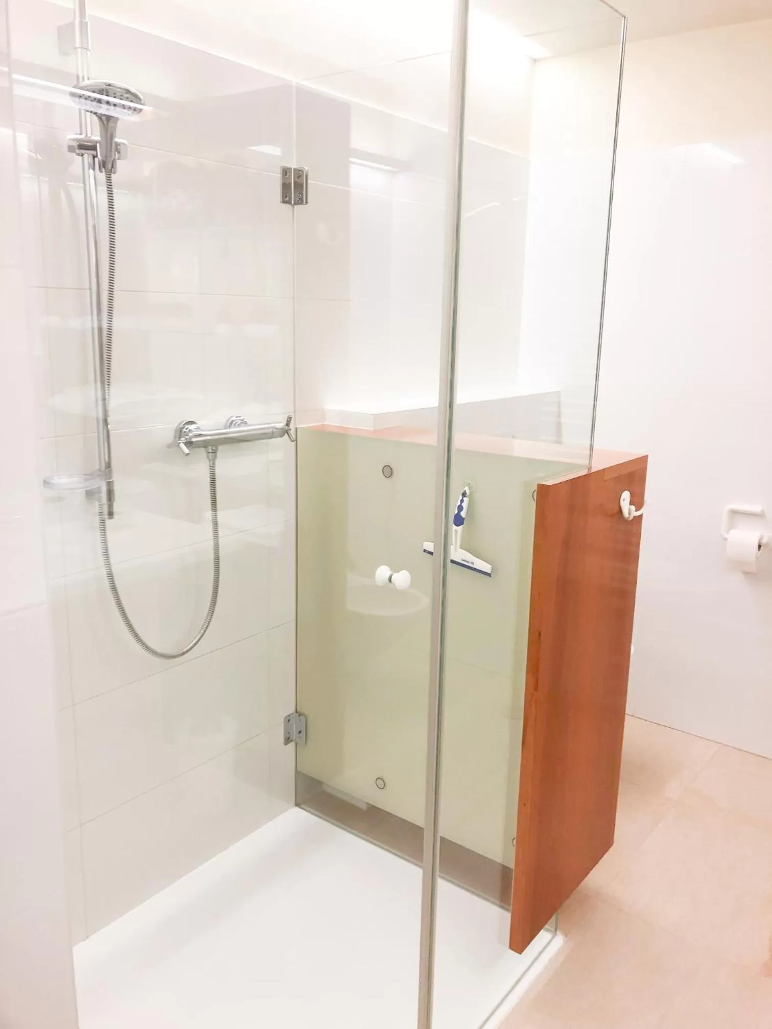 Shower, Bathroom in Die Schmiede