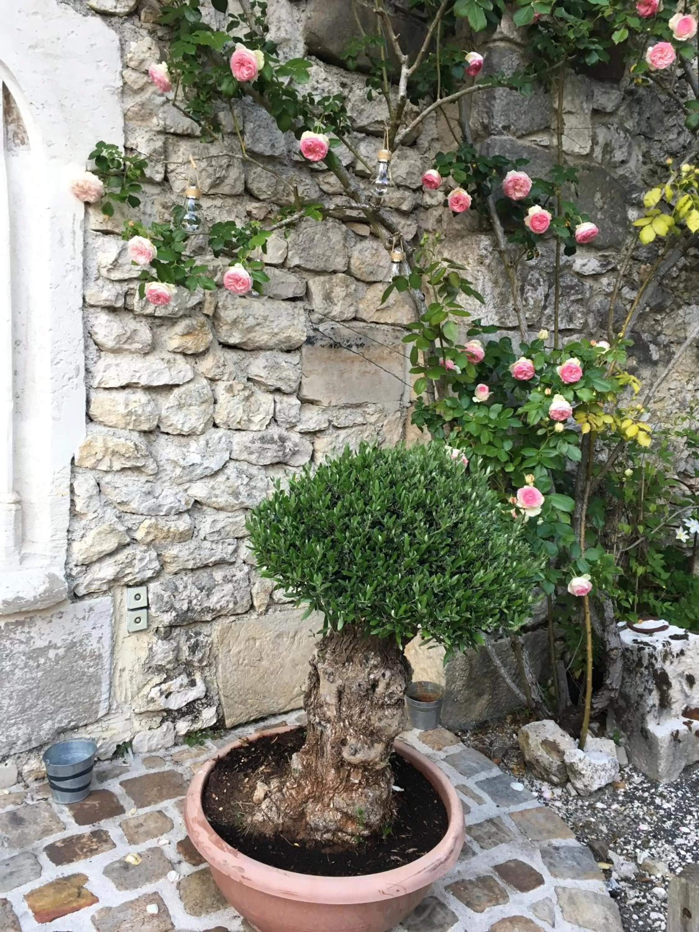Garden in Demeure des Vieux Bains