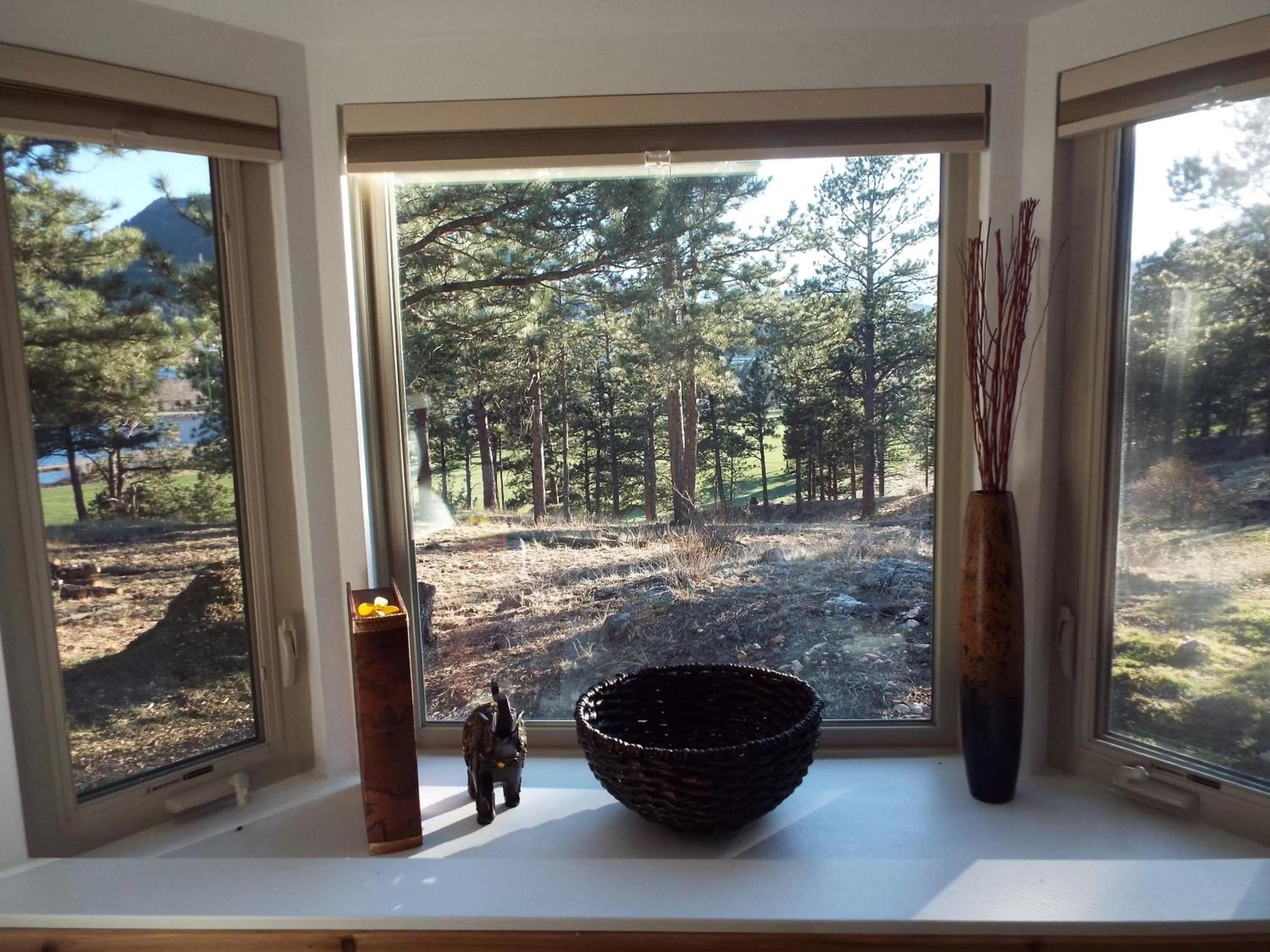 View (from property/room) in Murphy's Resort