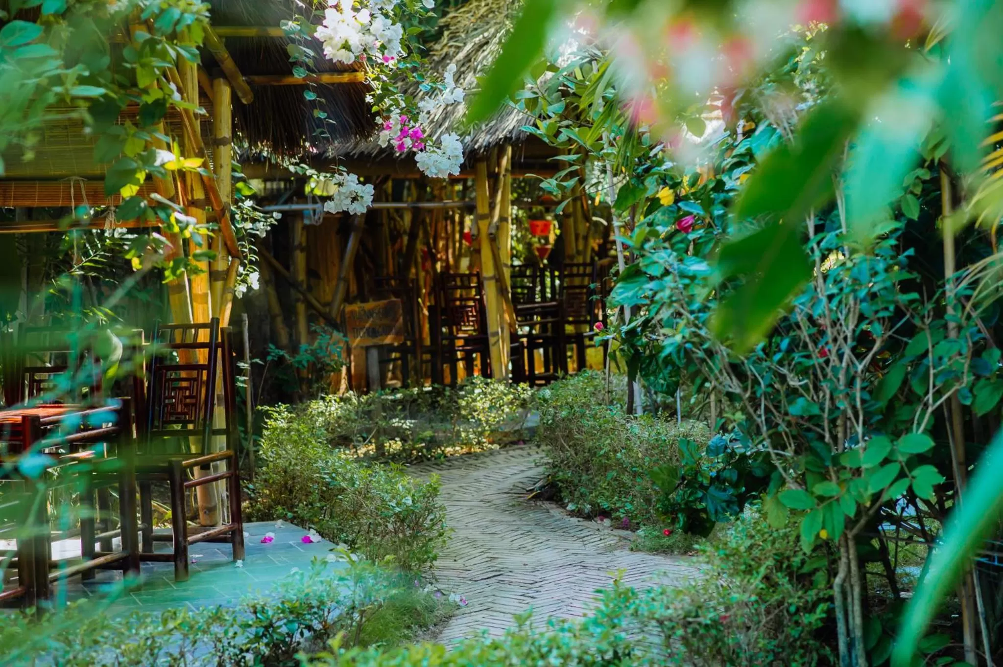 Garden in Nan House - Tam Coc