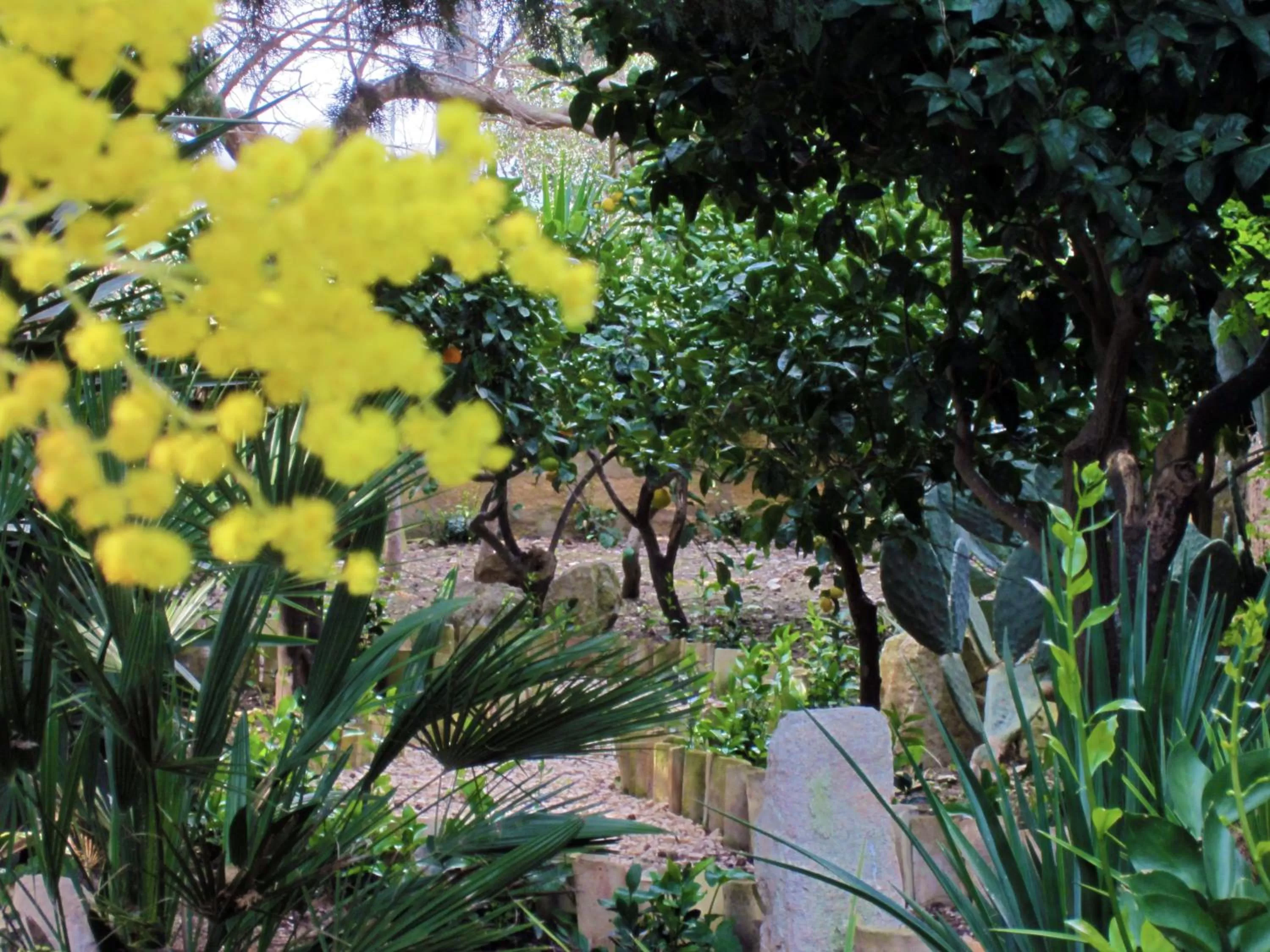 Facade/entrance in Candalù - Villa Giardinata