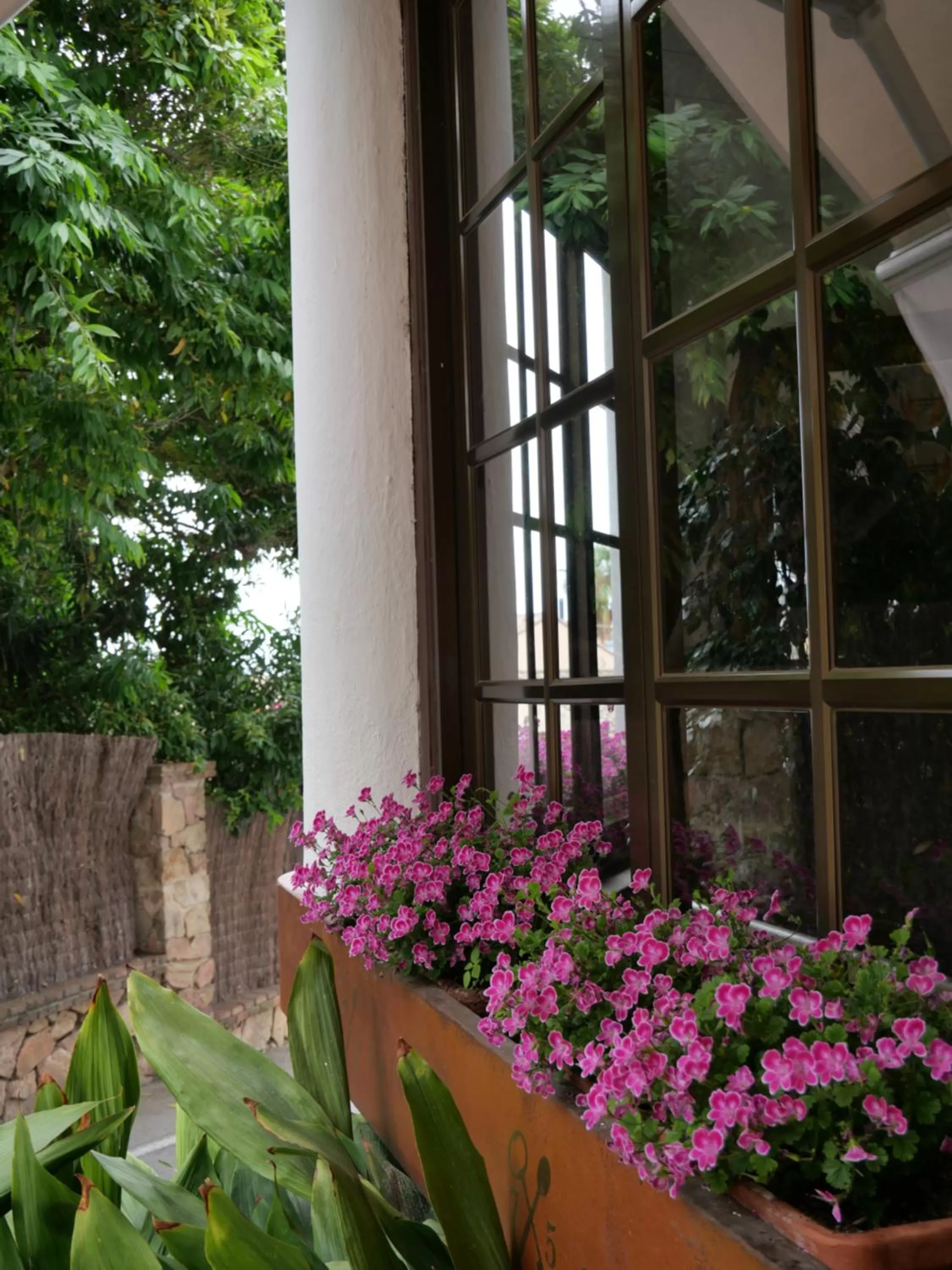 Property building in Hostal de la Plaça - Hotel Boutique