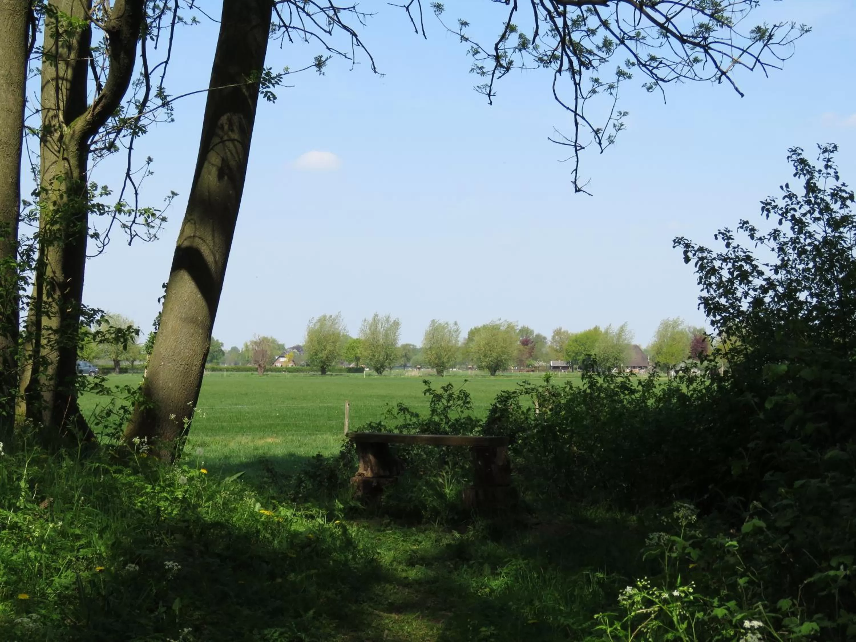 Neighbourhood in De Aze