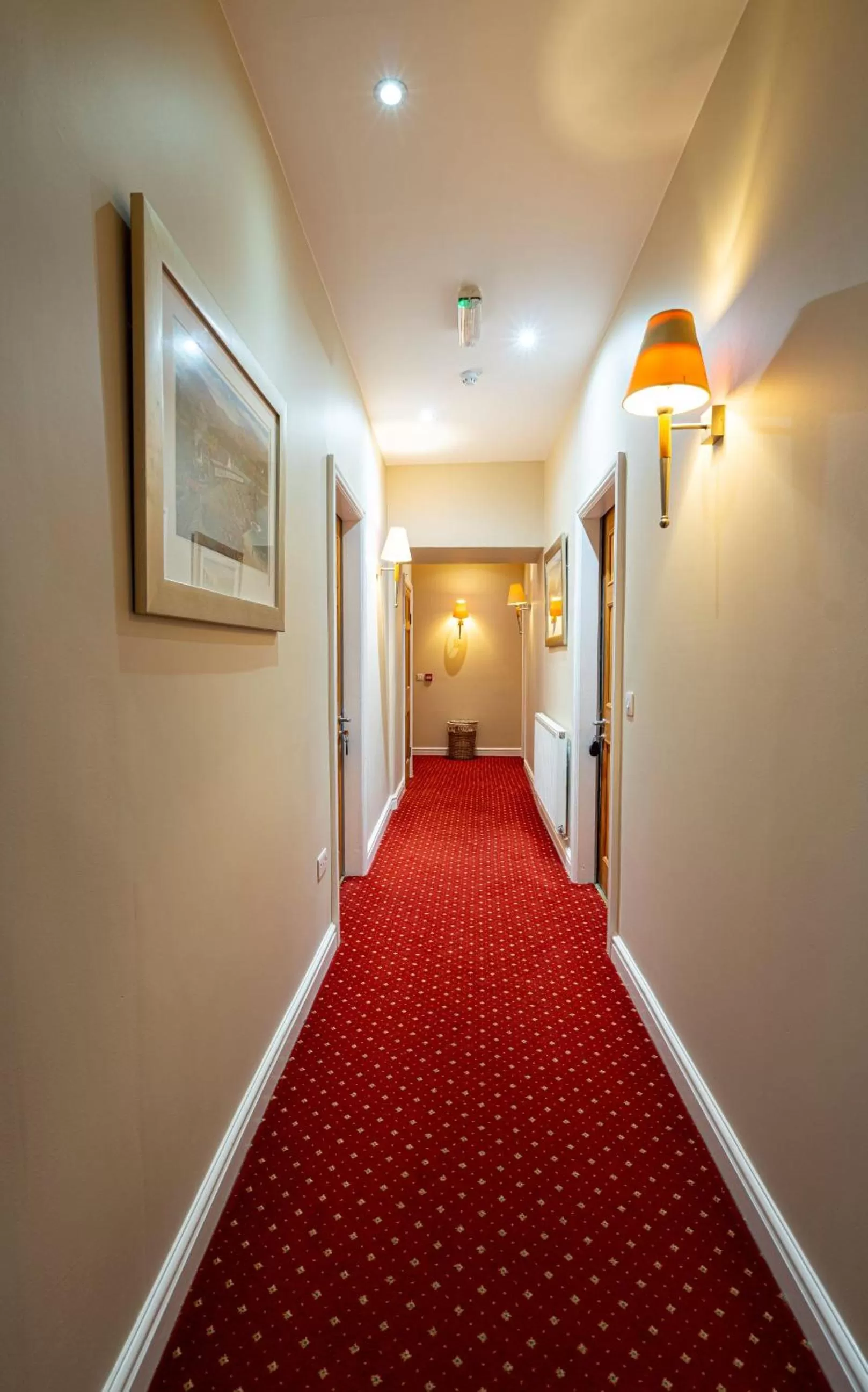 Grapes Hotel, Bar & Restaurant Snowdonia Nr Zip World