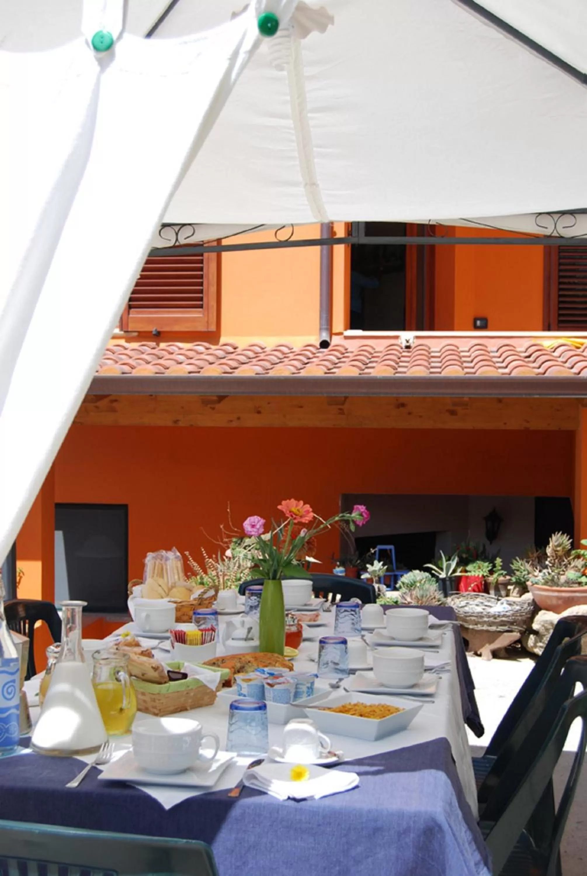 Garden in Bbsupottai