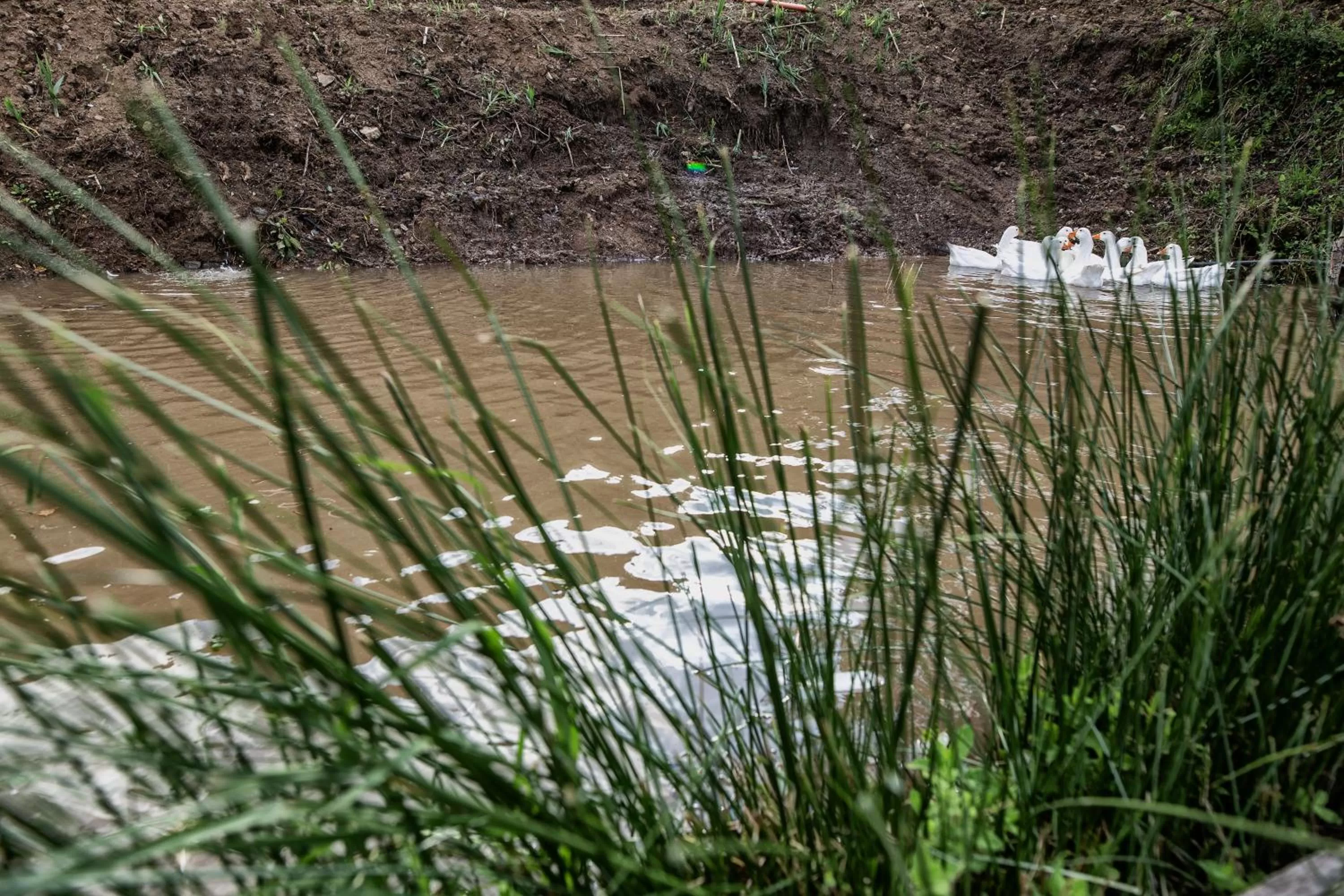Garden in Borgo Rosso di Sera - Resort Country Chic