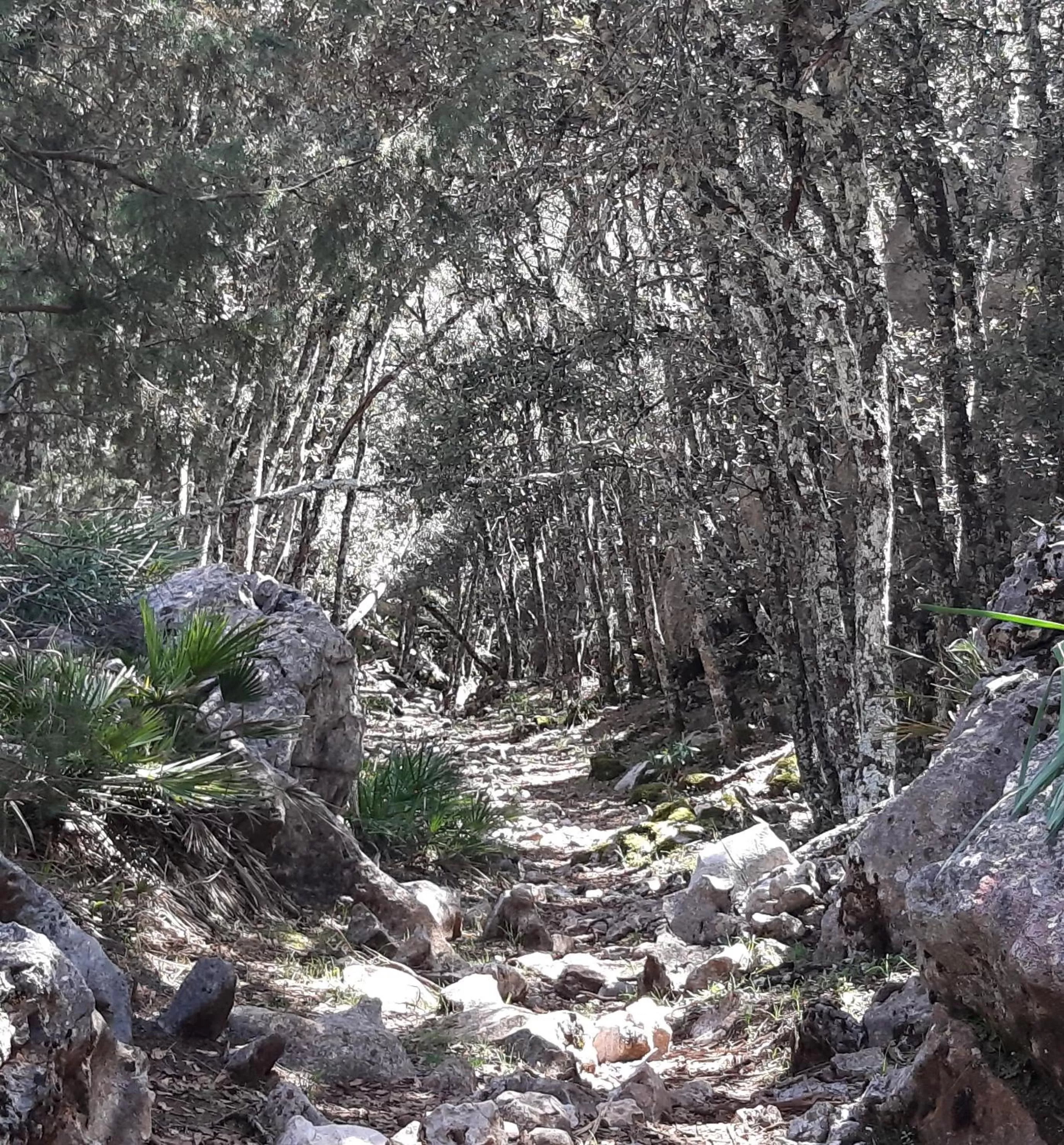 Winter in TAZEKKA PARC HOTEL