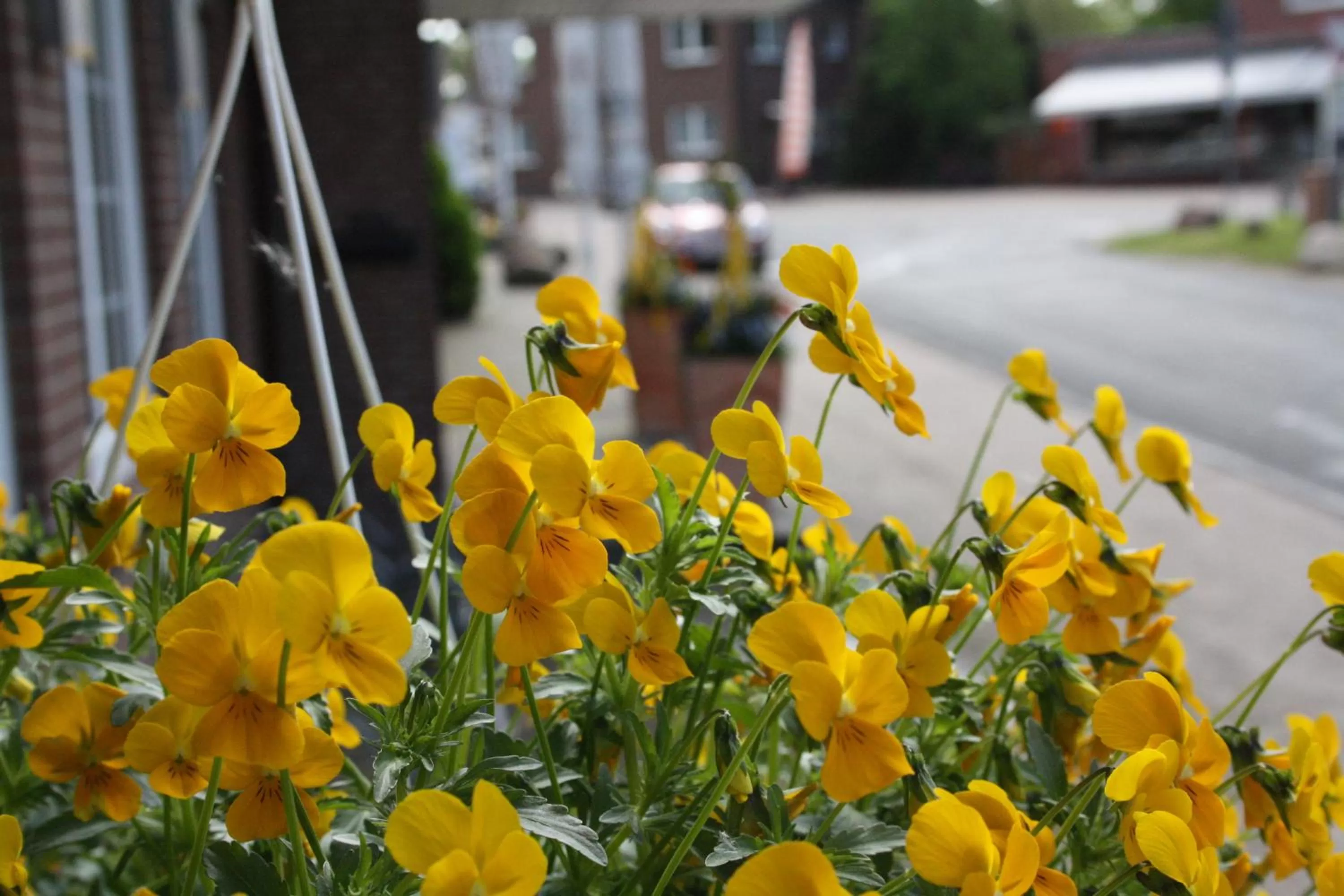 Decorative detail, Garden in Hotel König-Stuben
