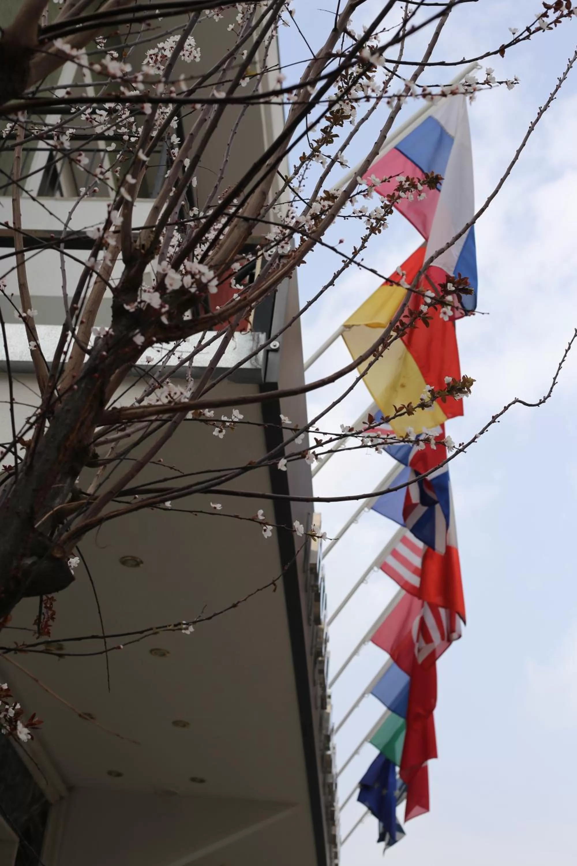 Day in Marianna Hotel