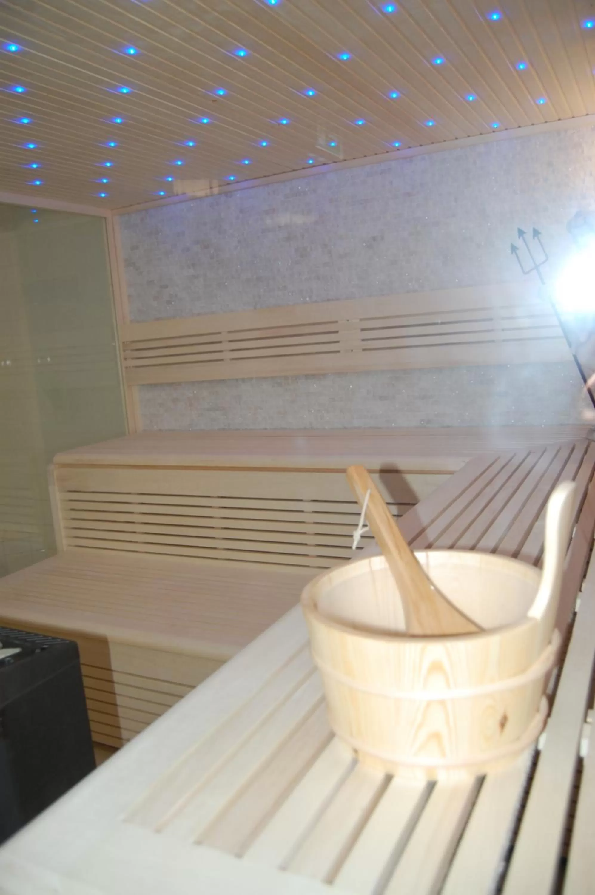 Sauna in Hotel Friesengeist