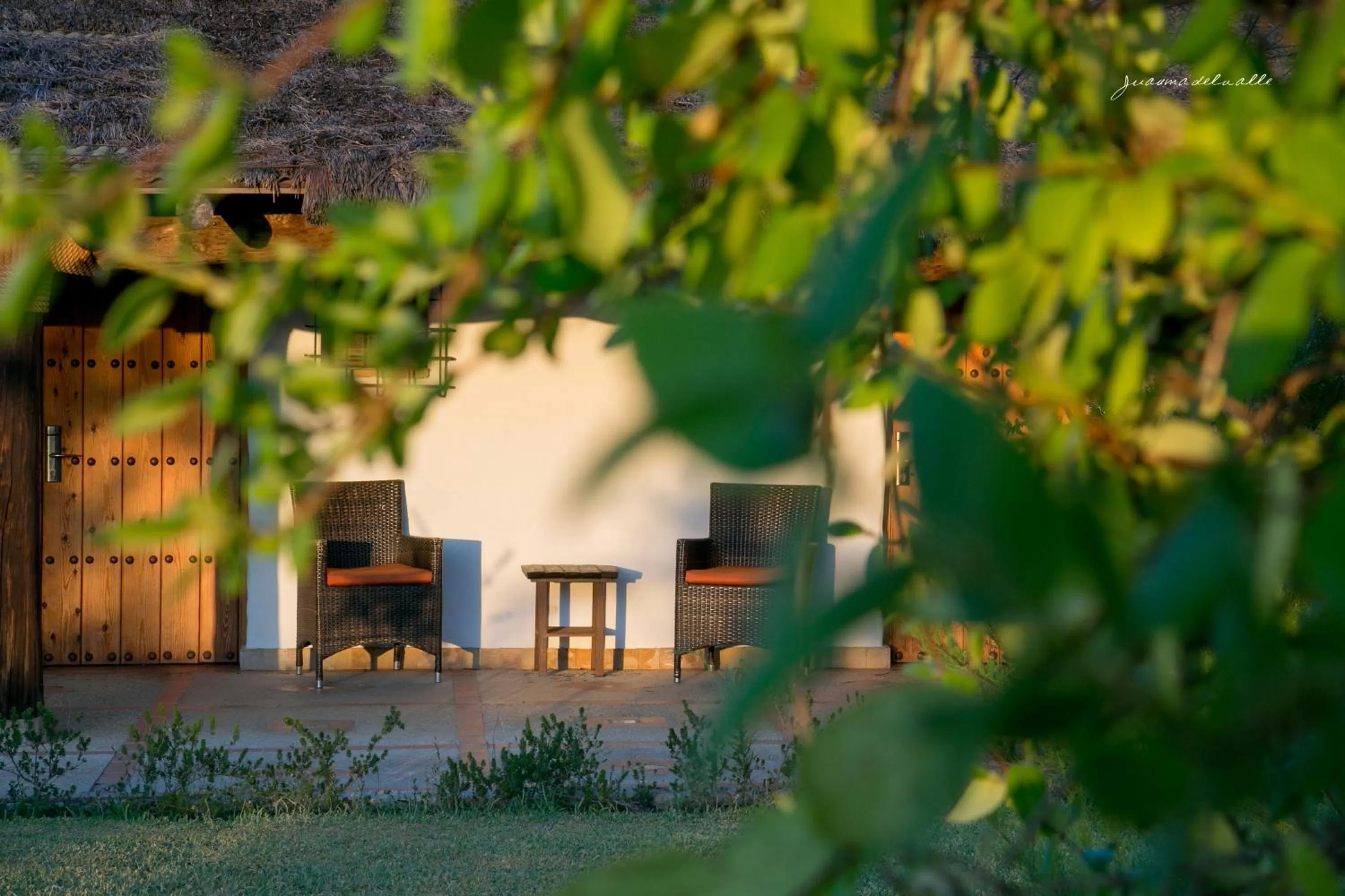 Off site in Ardea Purpurea