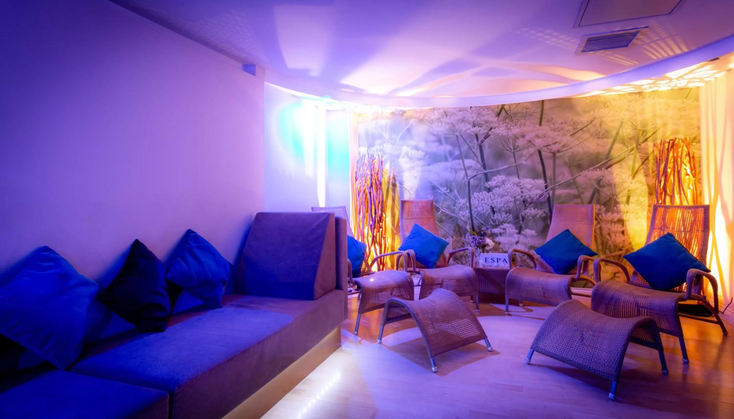 Spa and wellness centre/facilities in The Park Royal Hotel & Spa