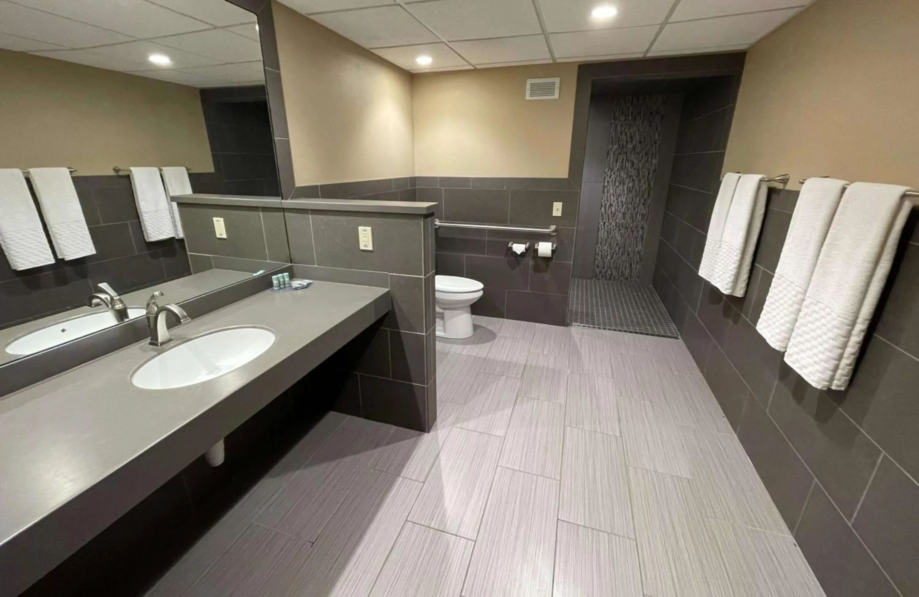 Bathroom in Crossroads Hotel & Event Center