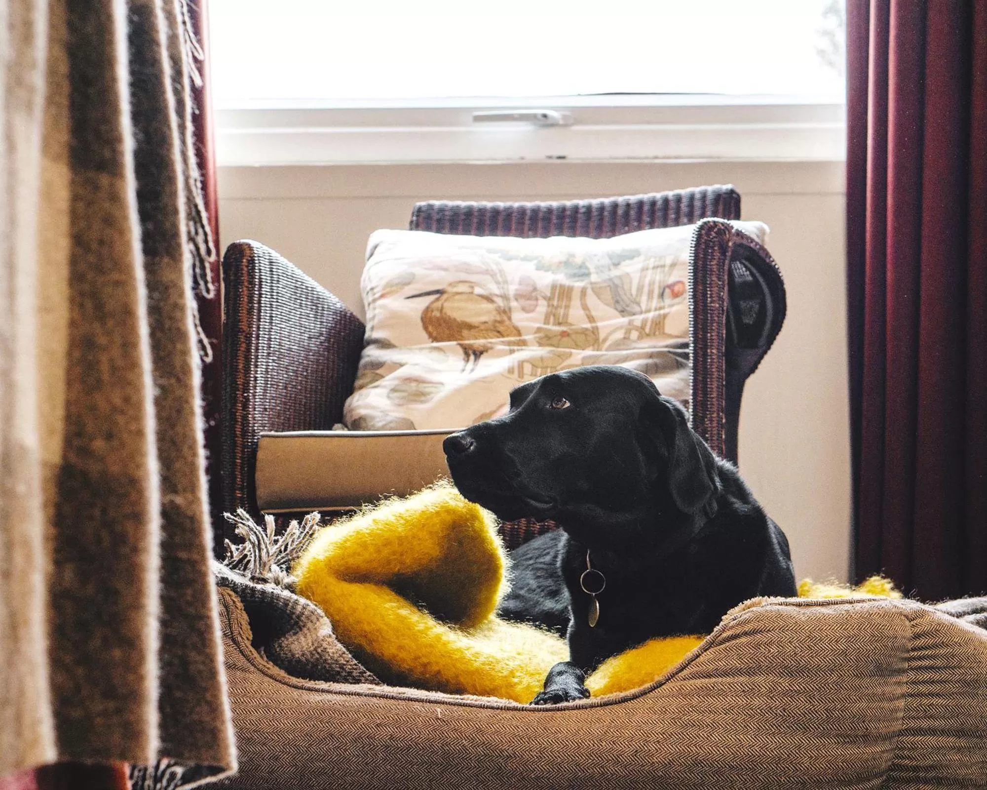 Property building in Westmorland Hotel Tebay