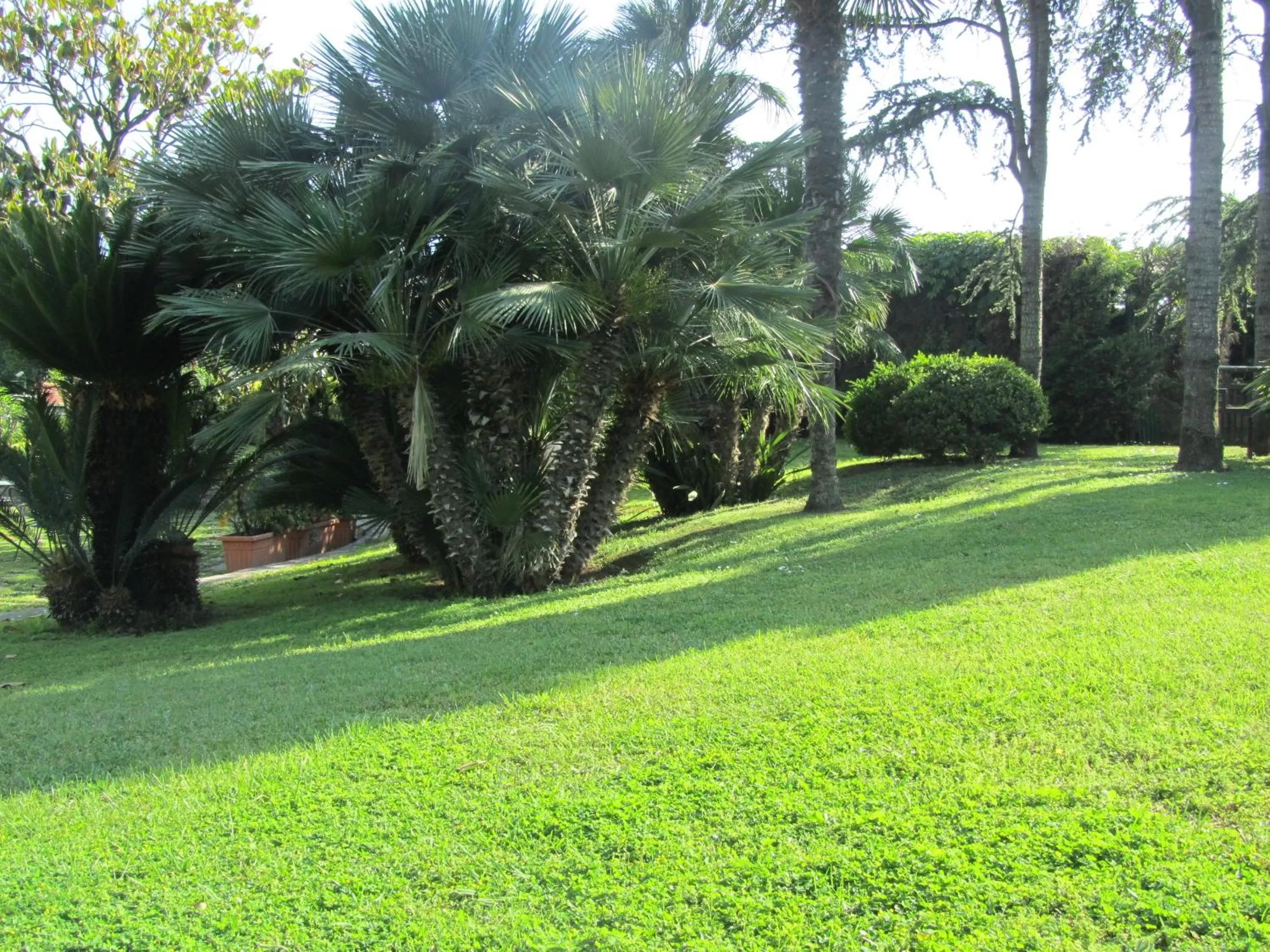 Day in Hotel Giovanna