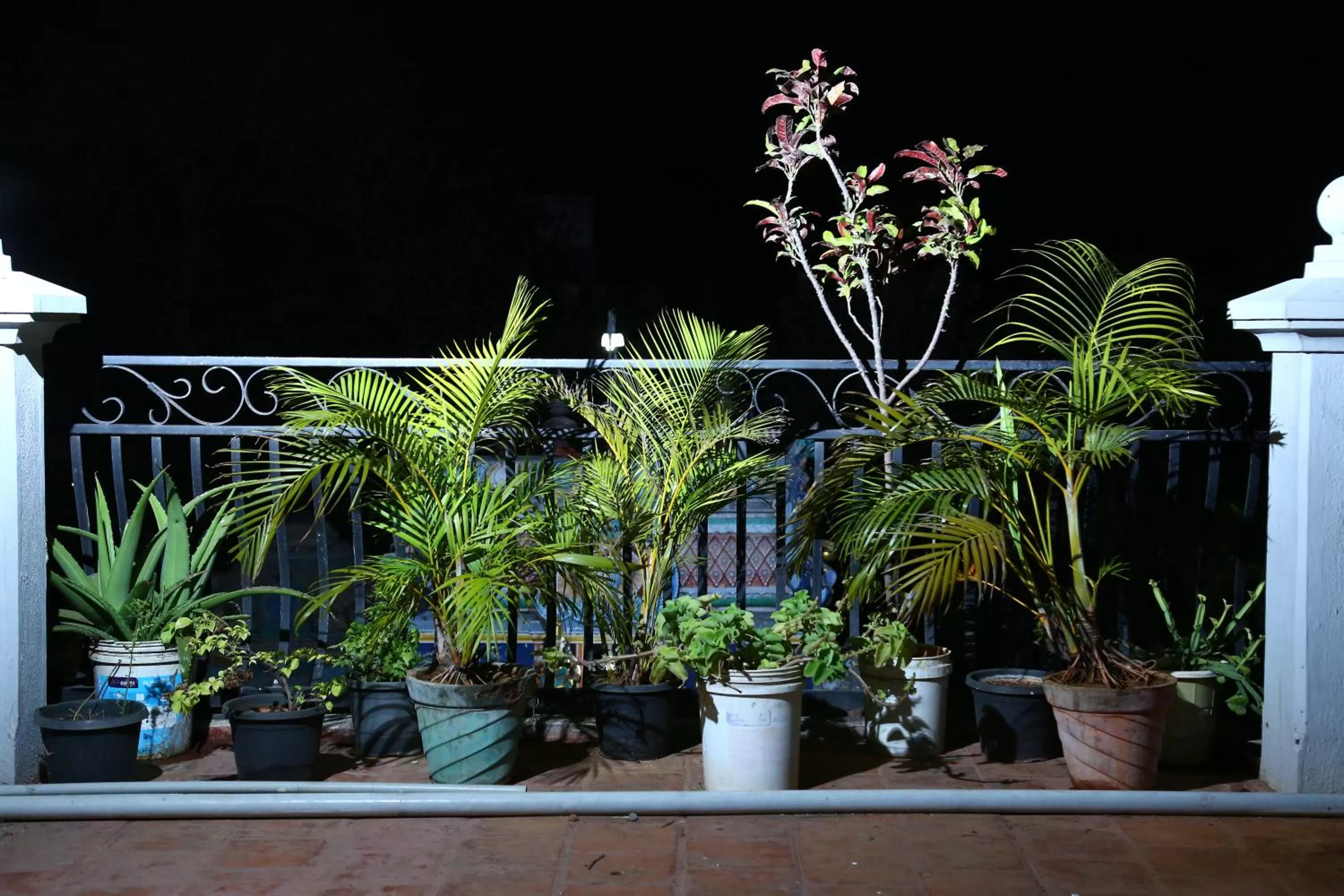 Garden in Zingle Stay Airport Hotel