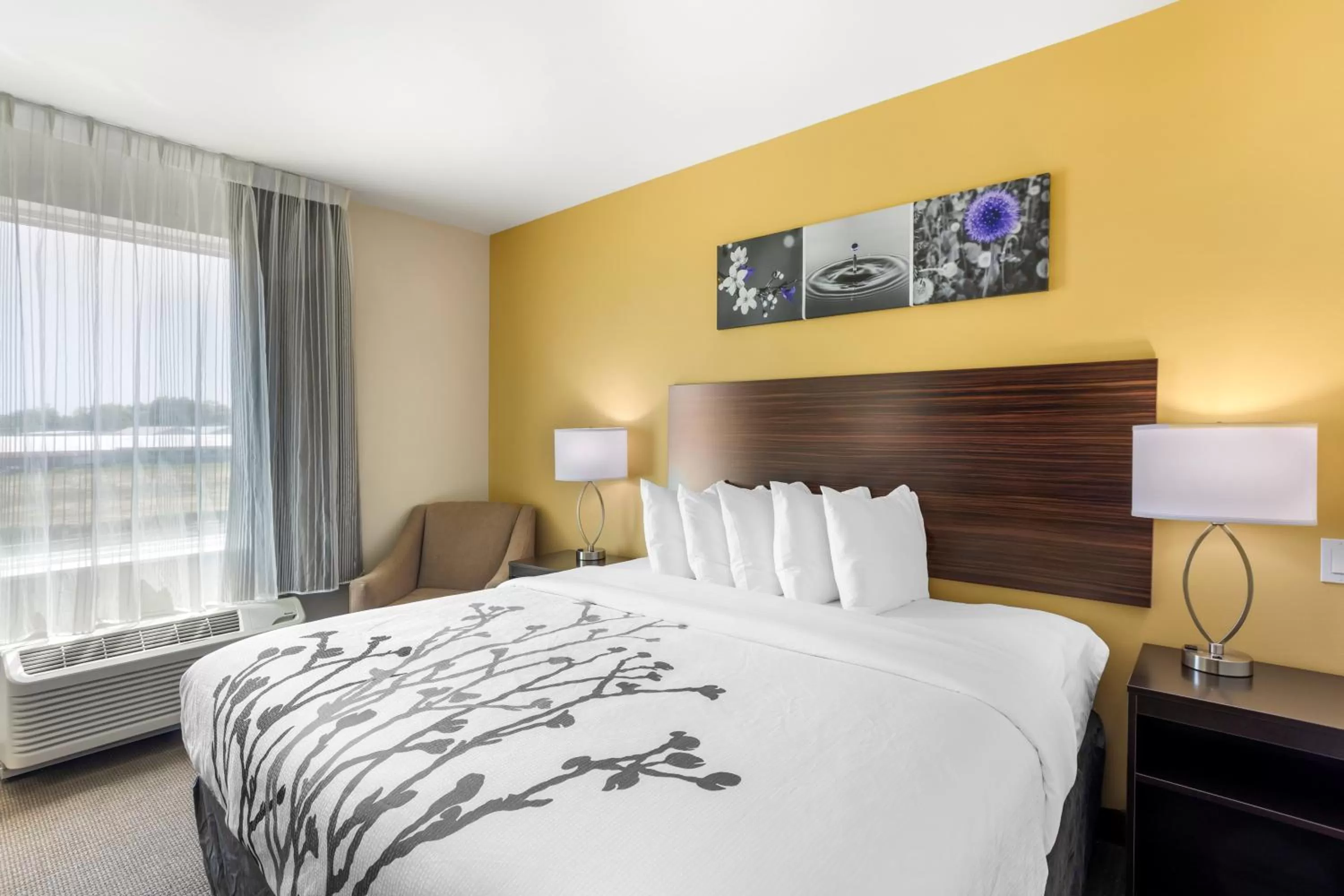 Bedroom, Bed in Sleep Inn North - Central York