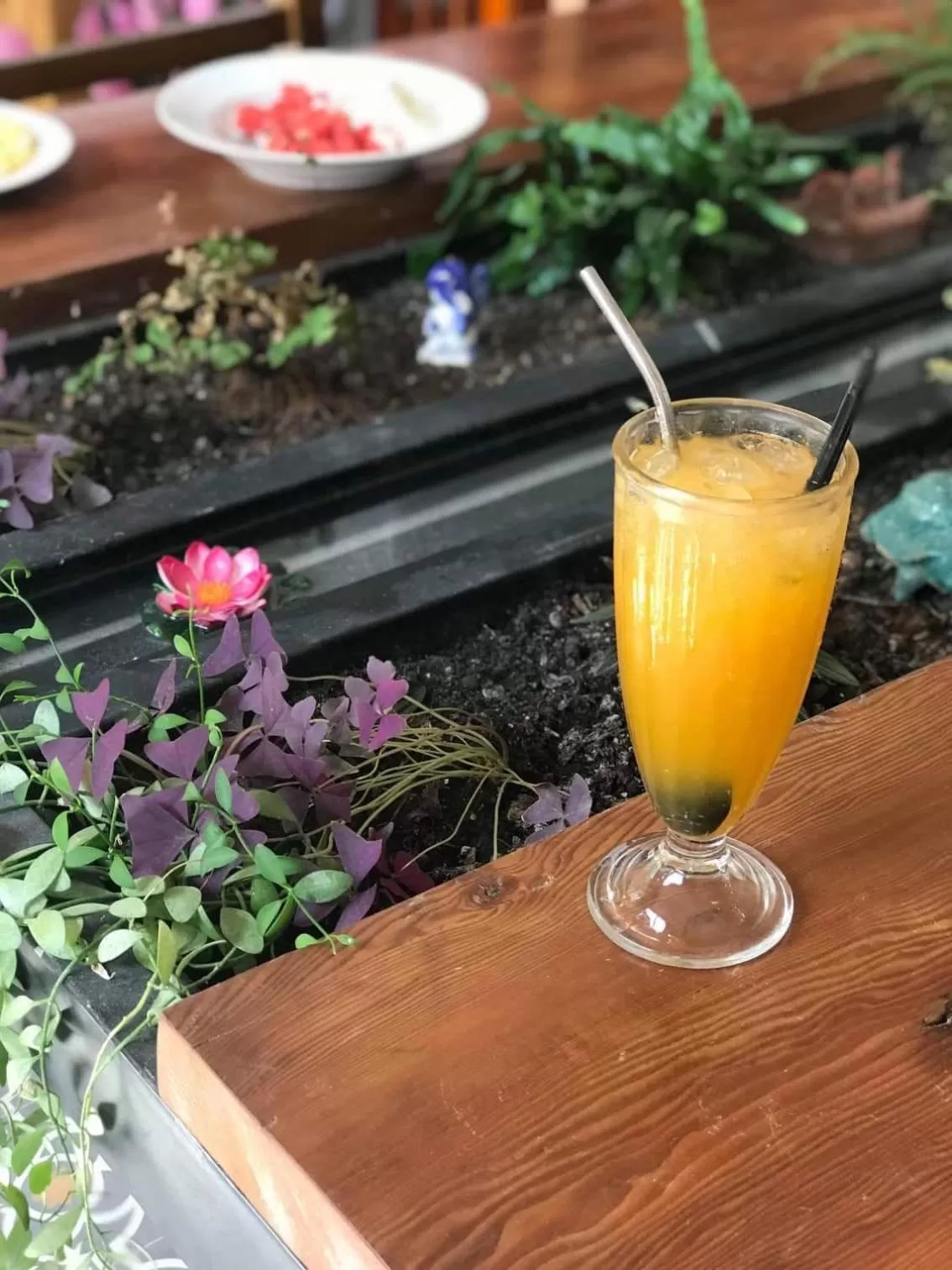 Continental breakfast in Pink Tulip Hoi An