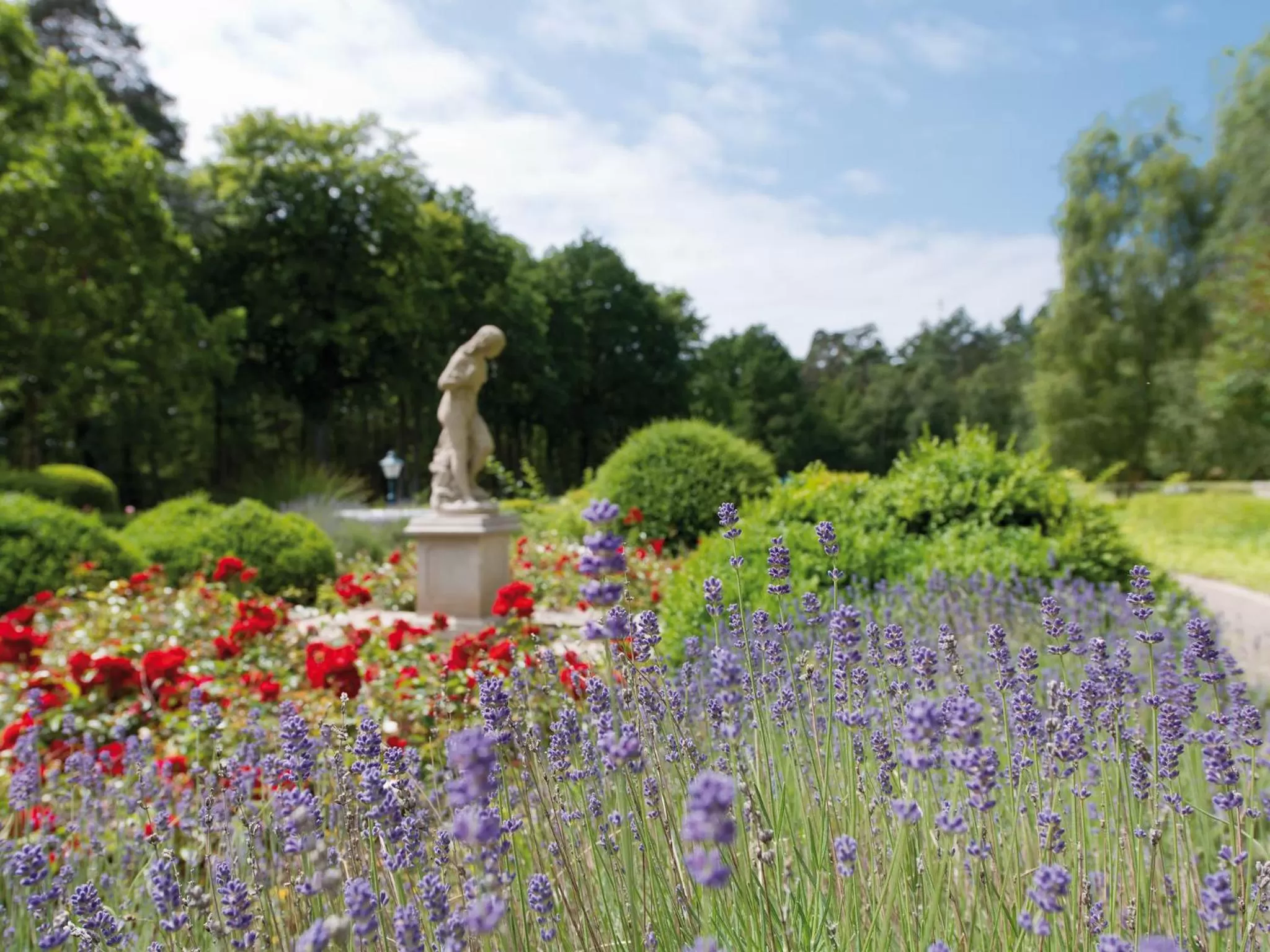 Garden in Hotel Bernstein Prerow