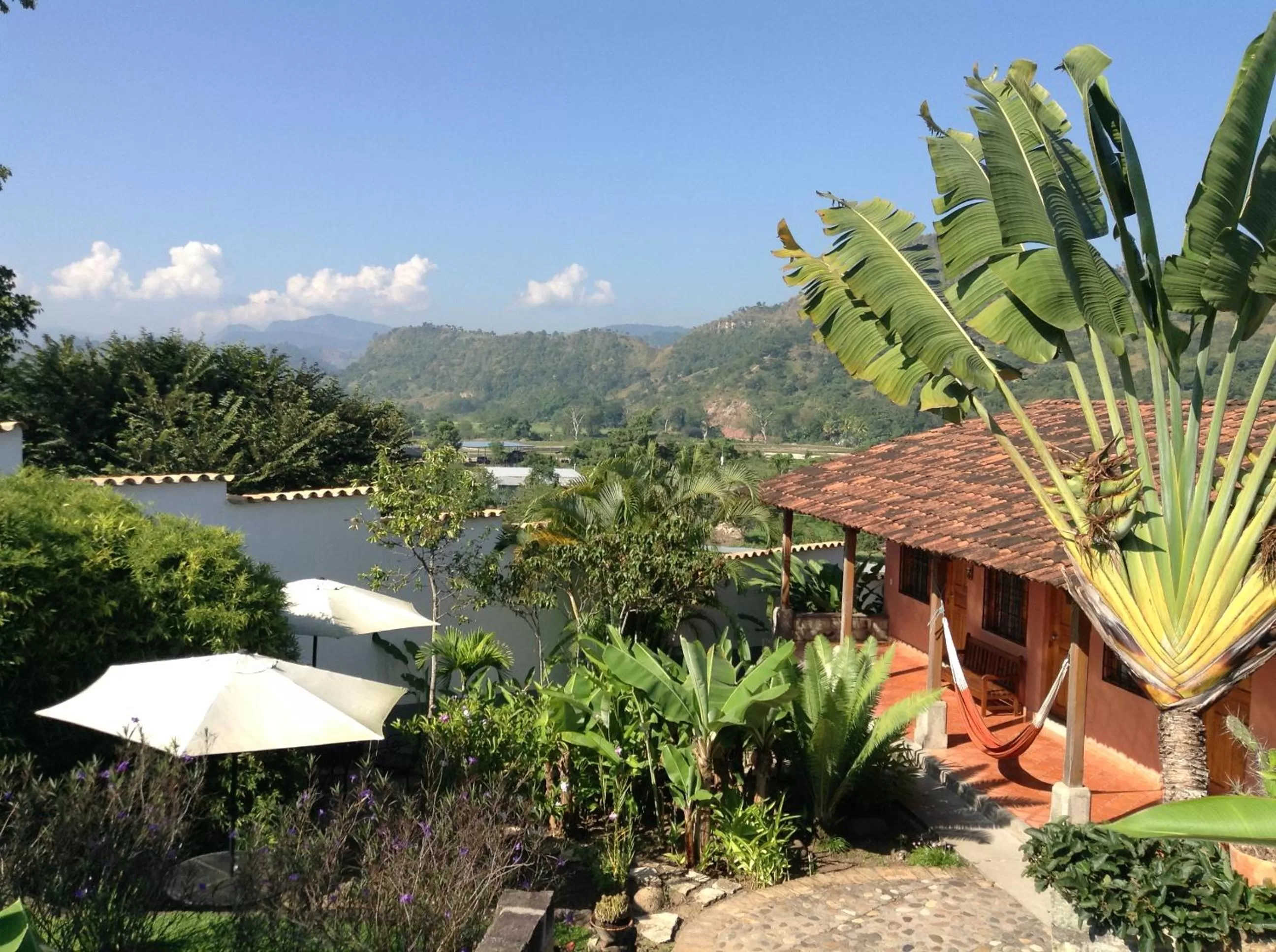 Garden view in La Casa de Cafe Bed and Breakfast