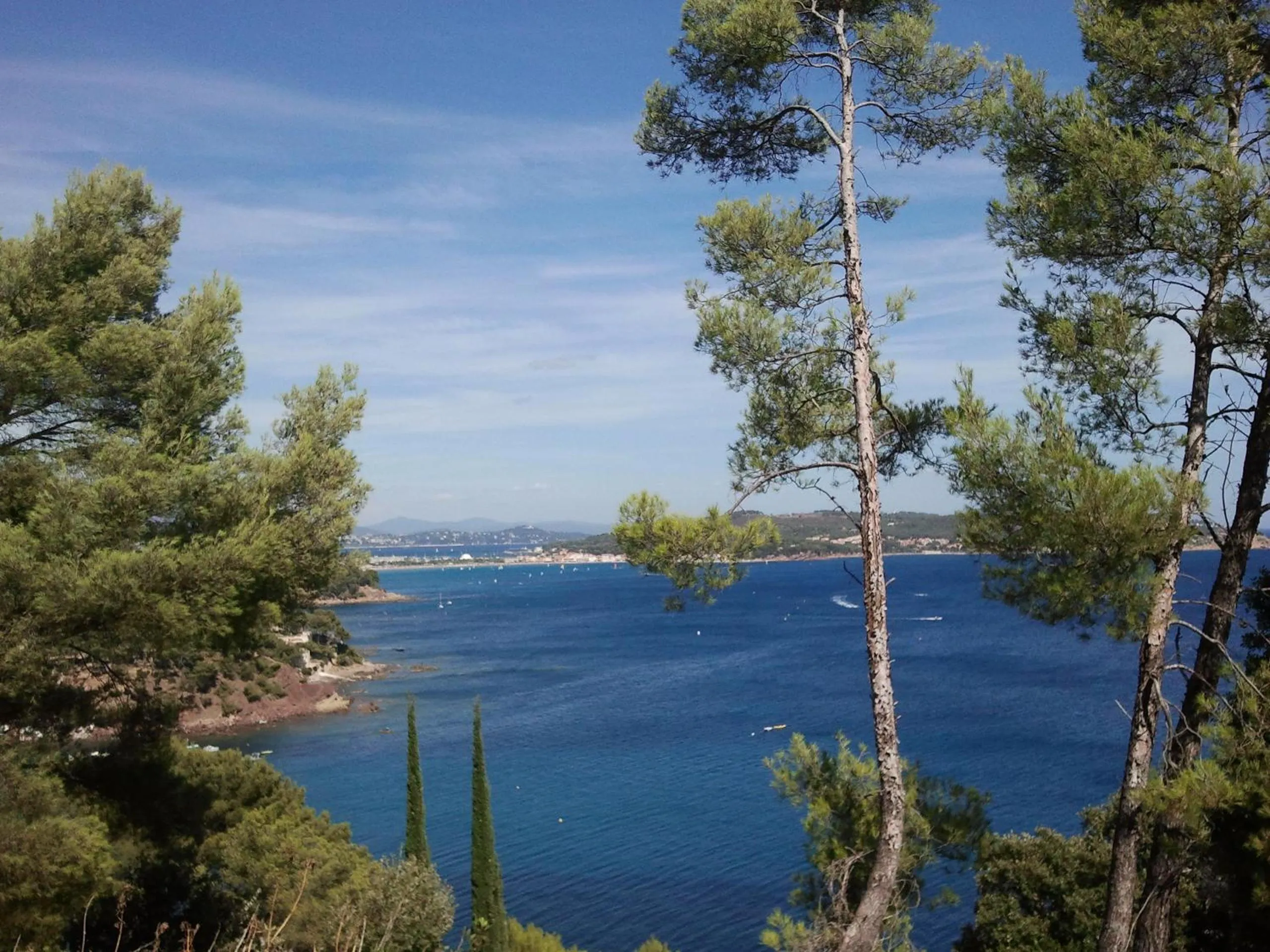 Area and facilities in Best Western Plus Sanary