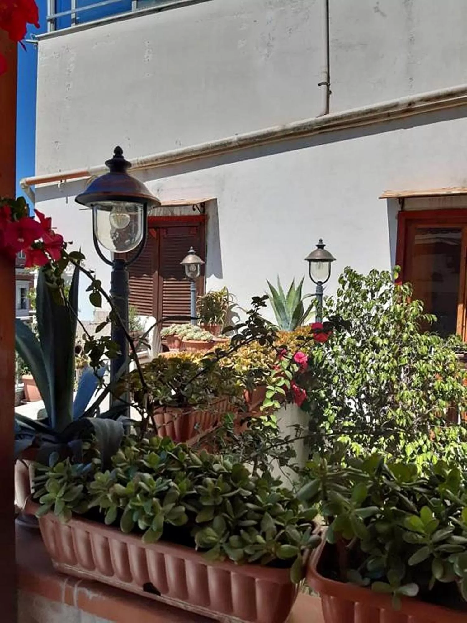 La Terrazza sul porto