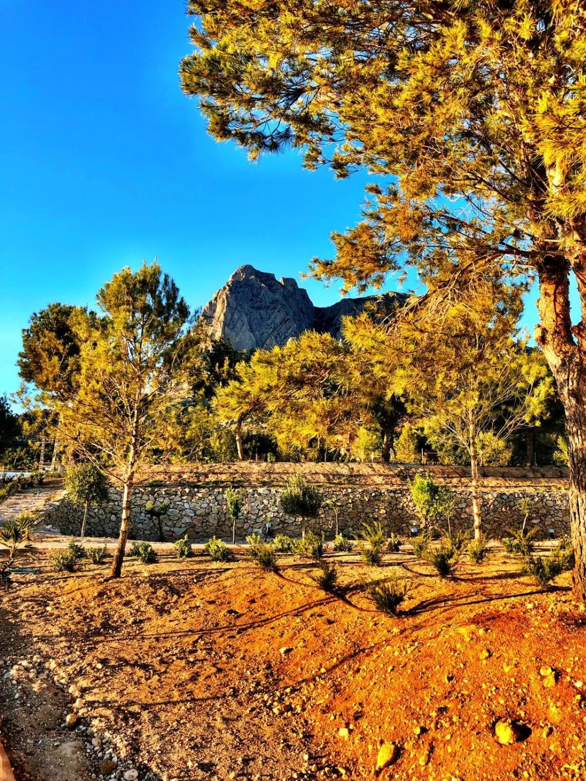 Mountain view in Nature Suites Puig Campana by AR Hotels & Resorts