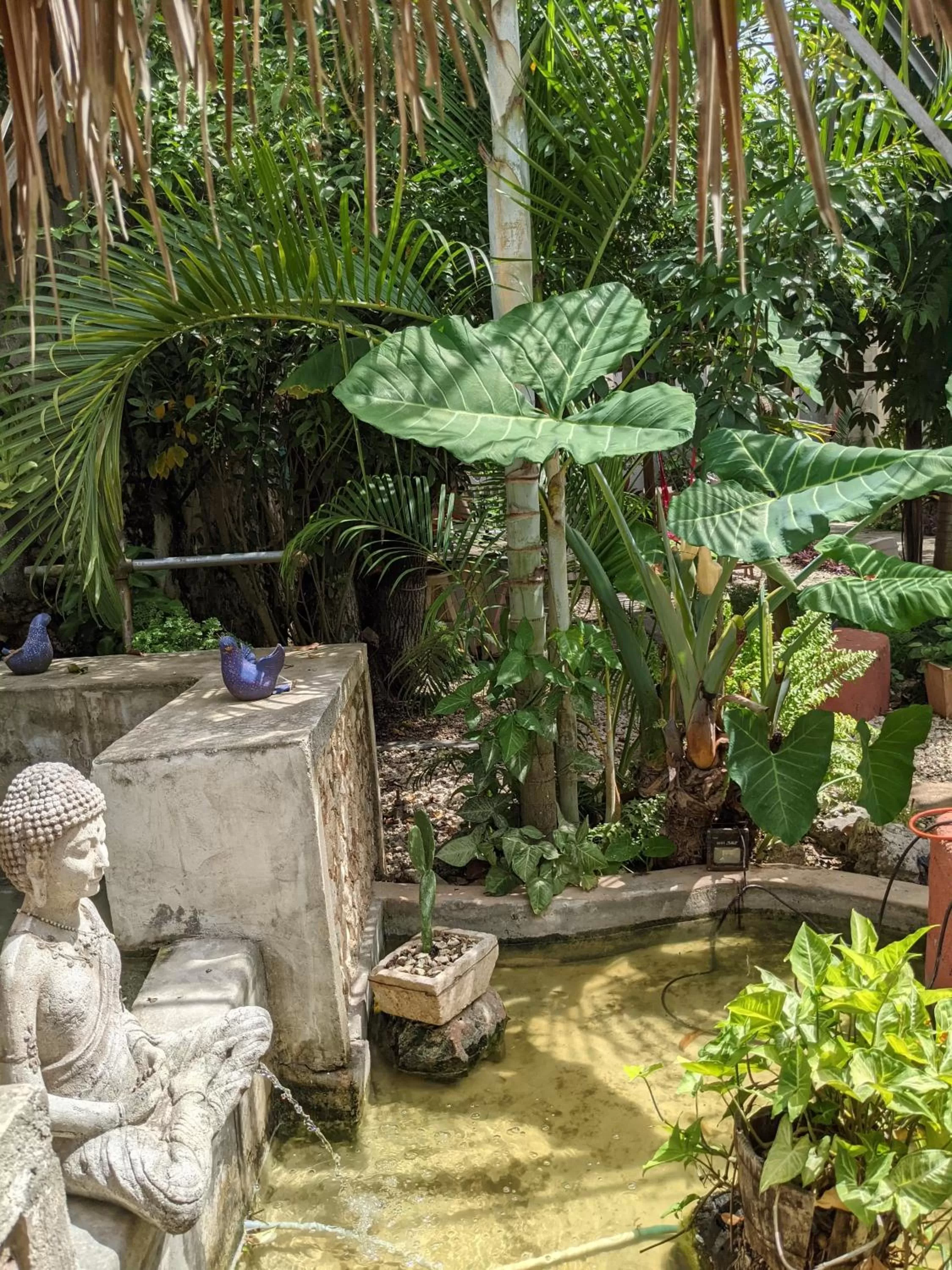 Property building in Casa Aluxes Hotel