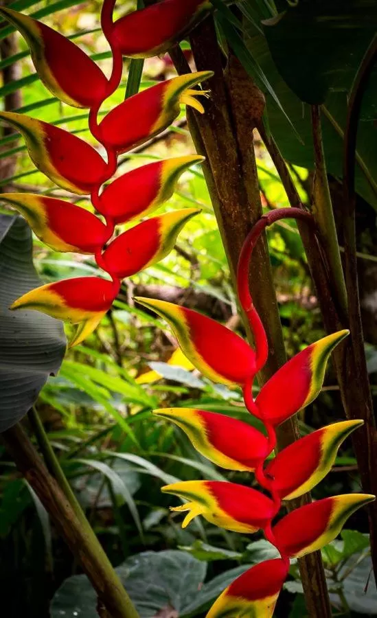 Pousada Vila Santa Barbara