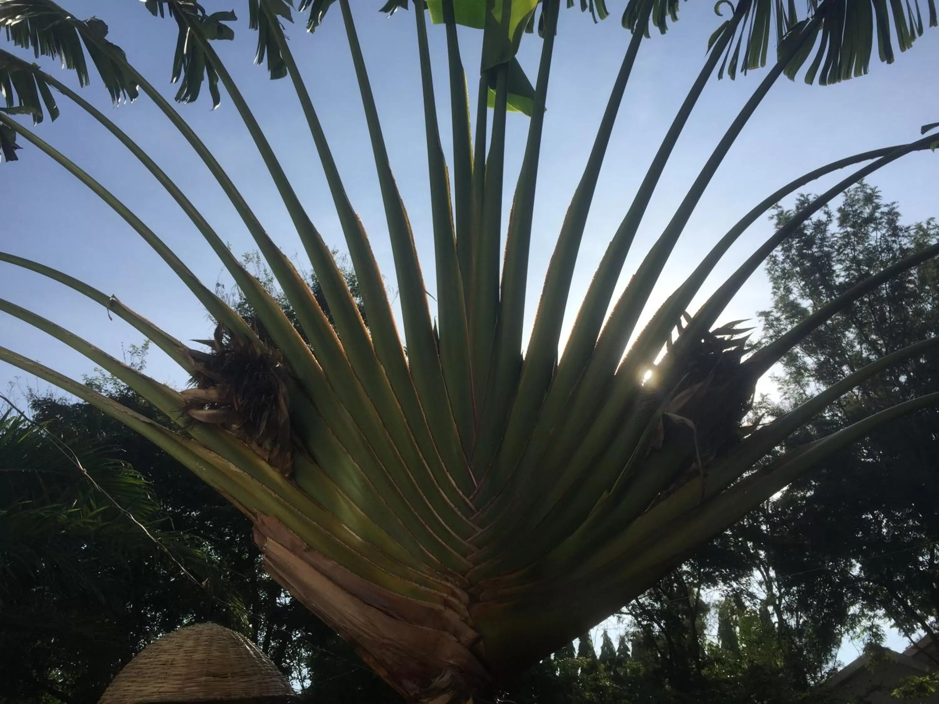 Property building in More Than A Drop