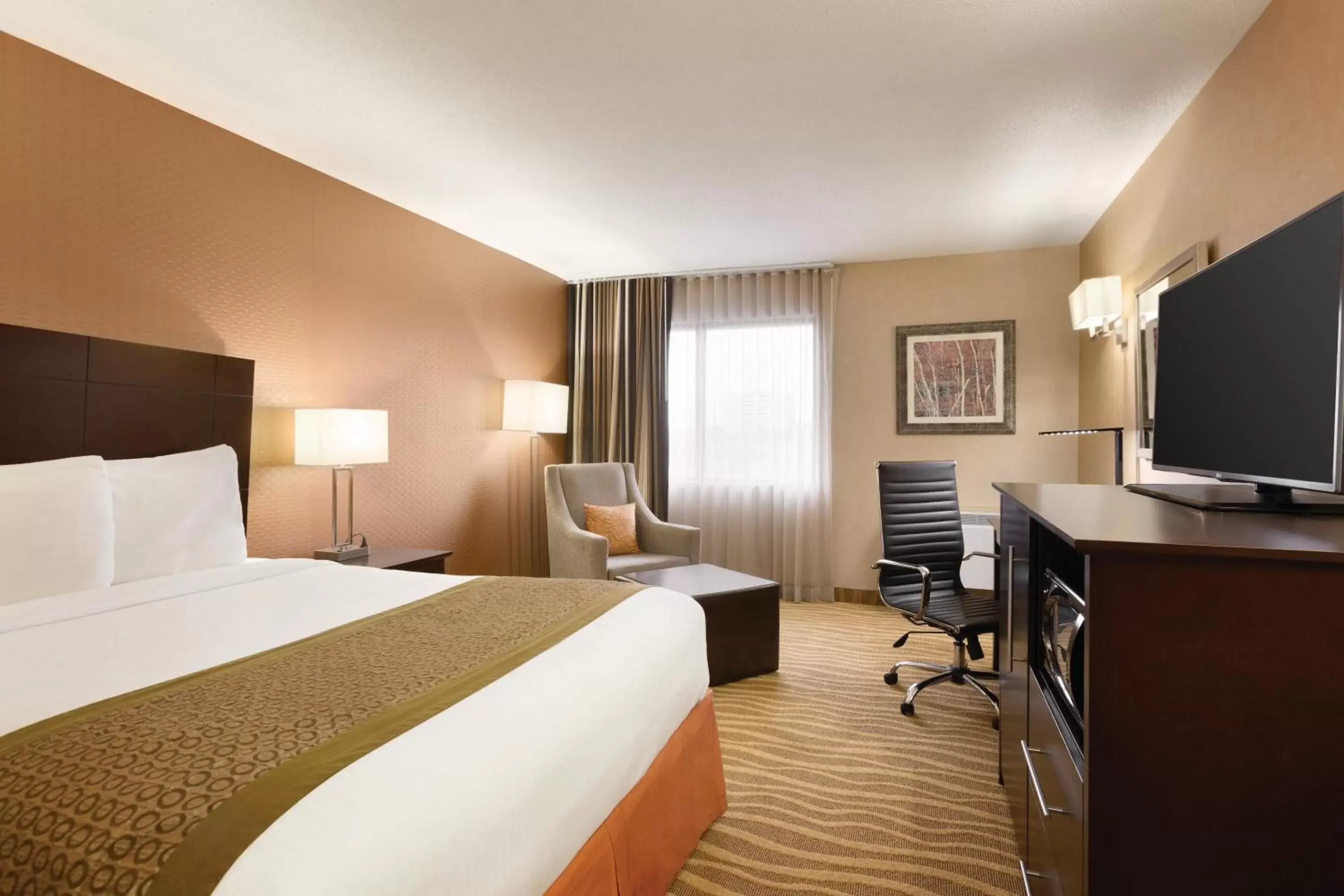 Queen Room in Park Inn by Radisson Toronto-Markham Queen Room in Park Inn by Radisson Toronto-Markham