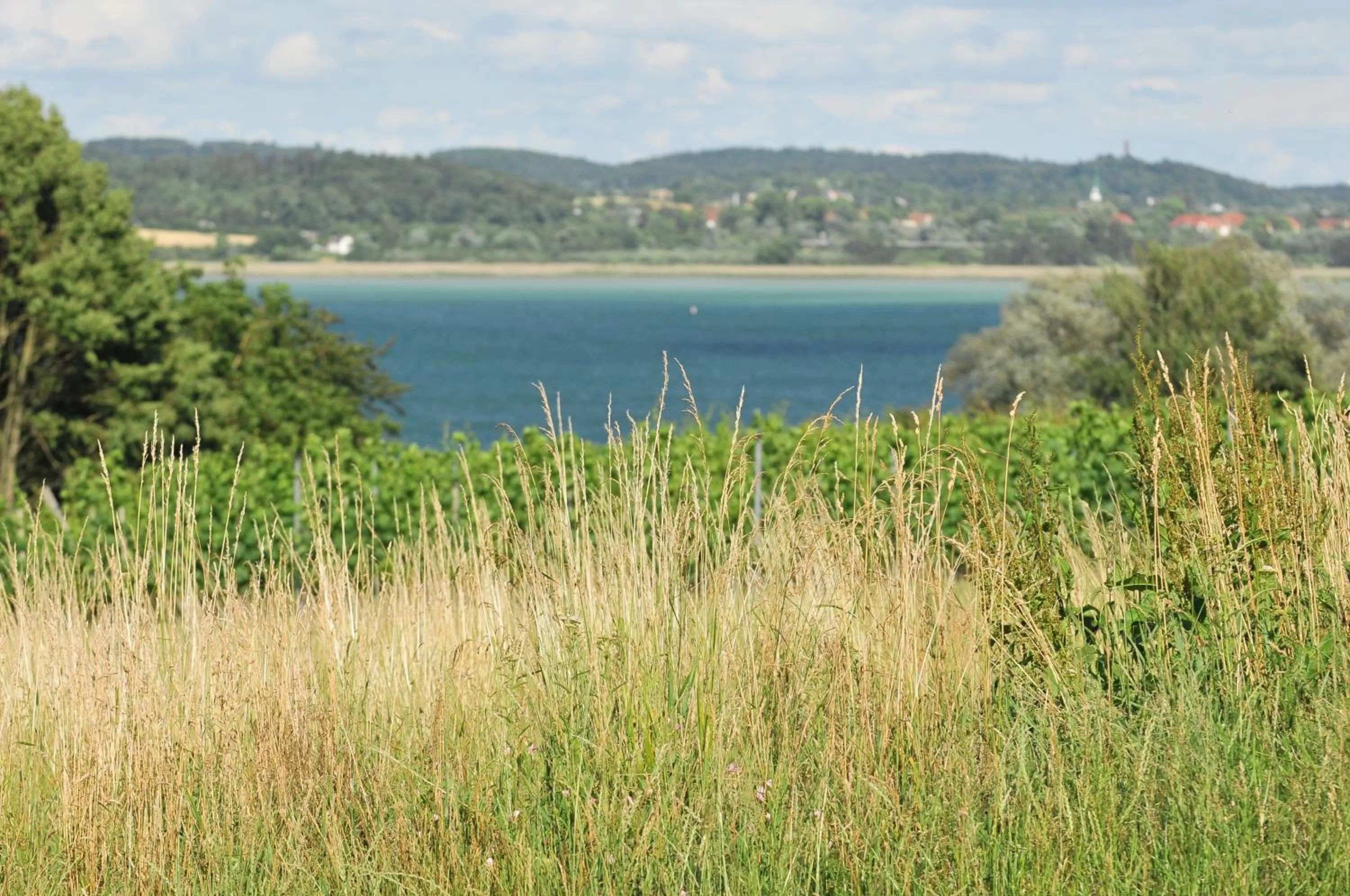 Natural landscape in Hotel mein inselglück