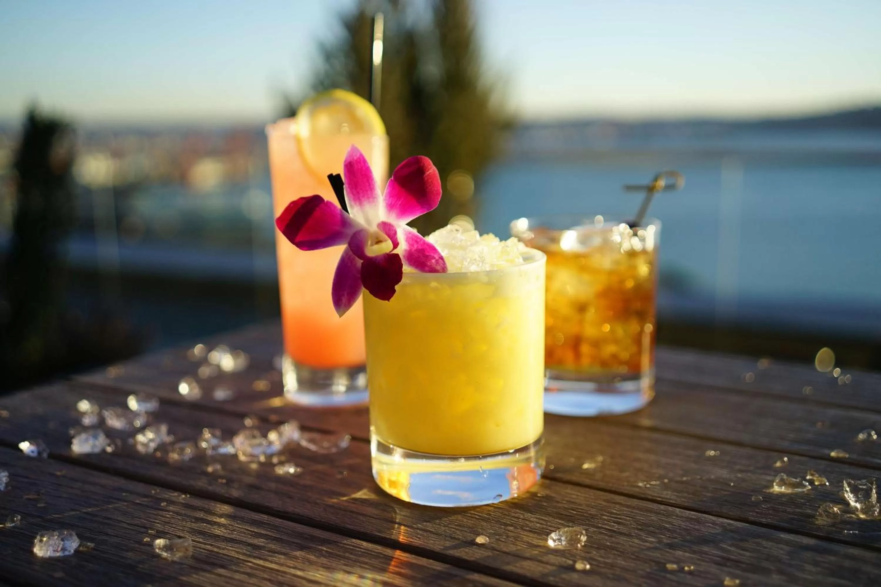 Restaurant/places to eat in Thompson Seattle, by Hyatt