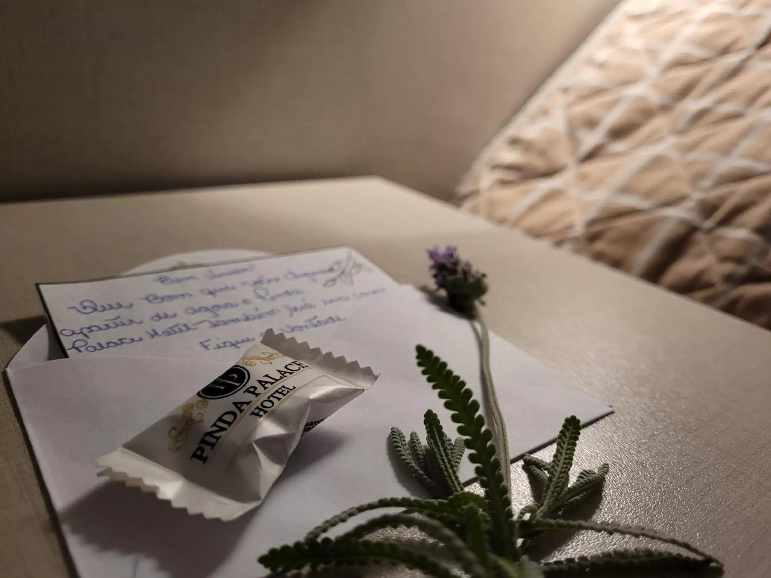 Comfort Triple Room - single occupancy in Pinda Palace Hotel Comfort Triple Room - single occupancy in Pinda Palace Hotel