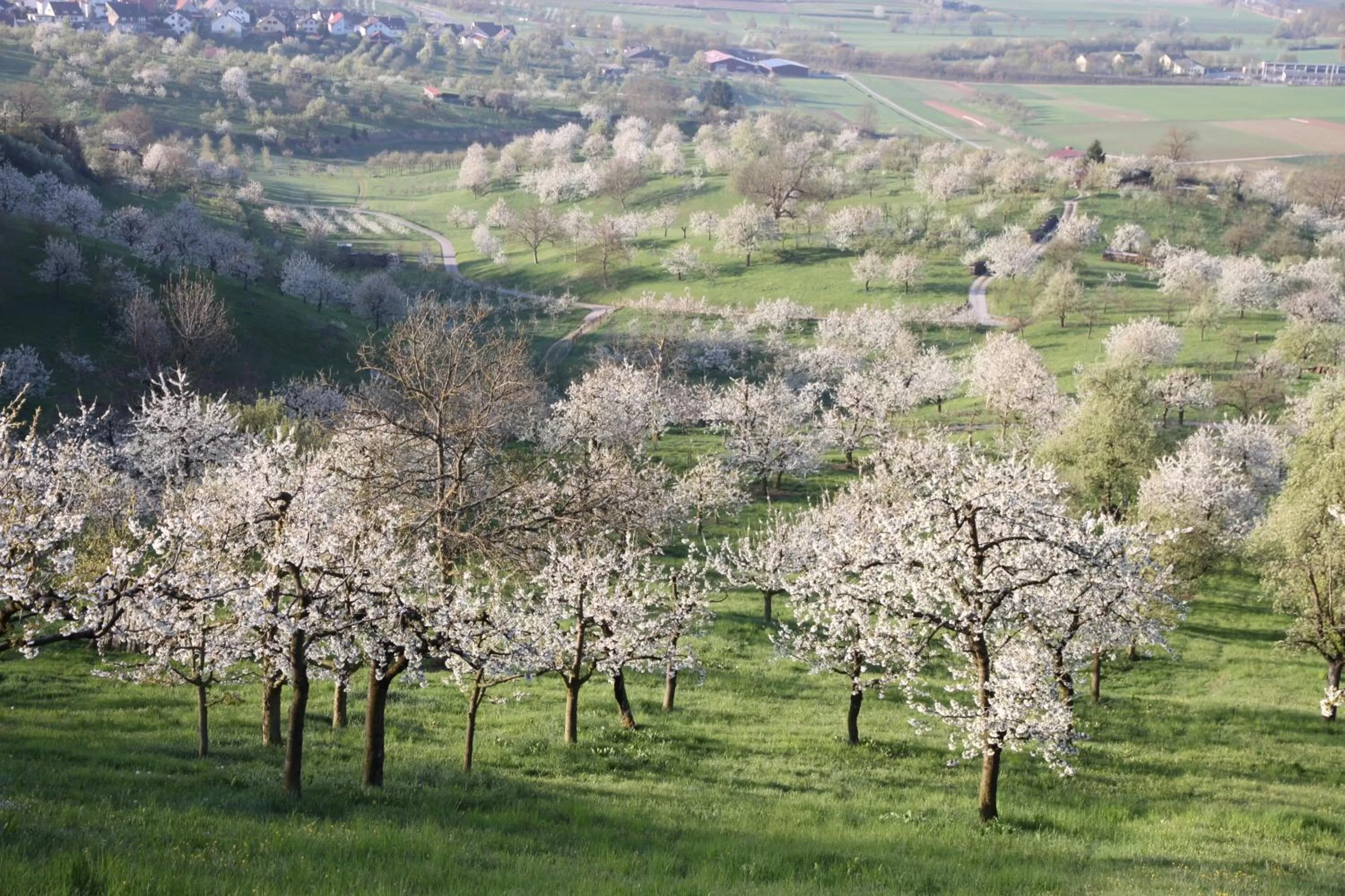 Natural landscape in Ringhotel Gasthof Hasen