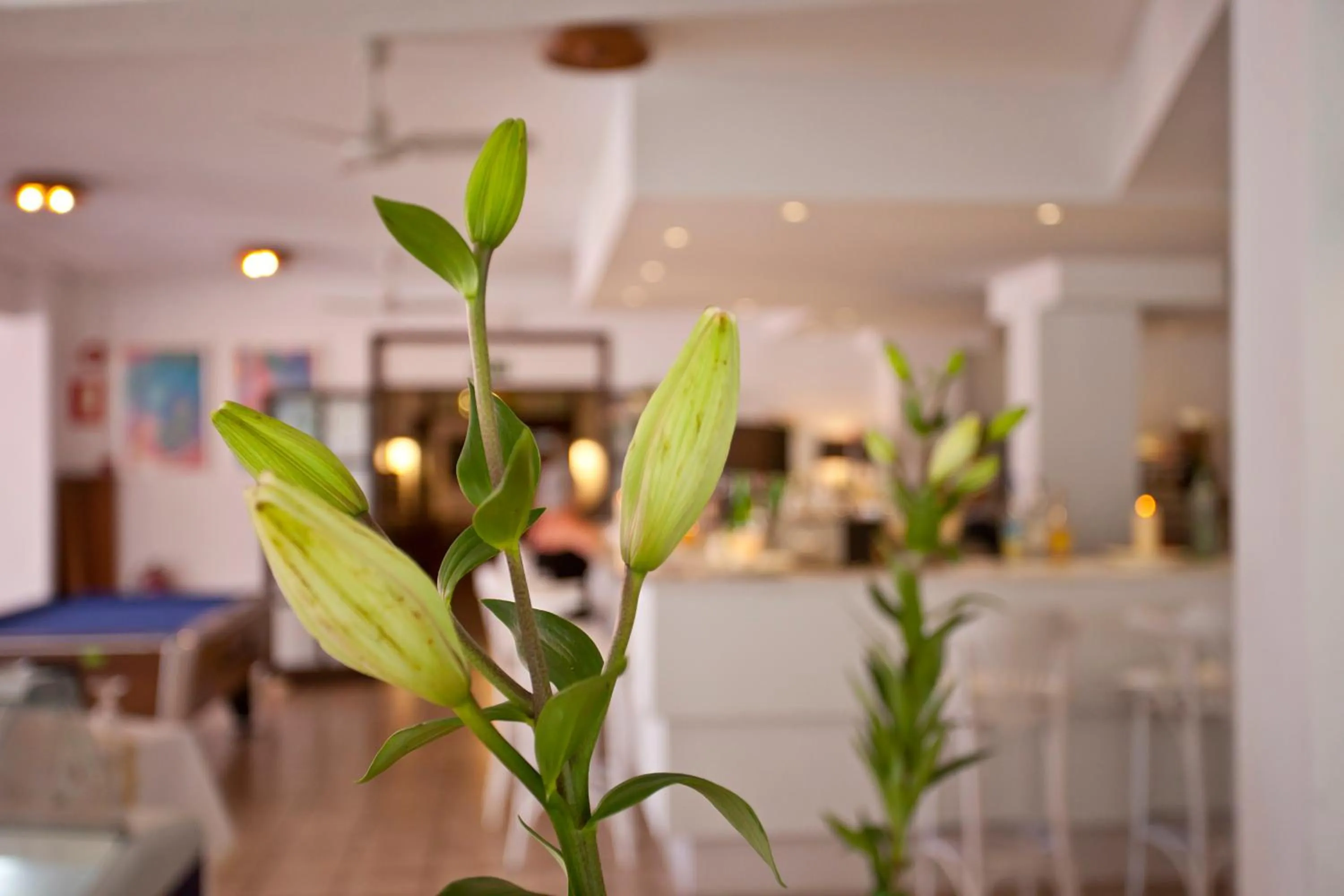 Galaxia Boutique Hotel