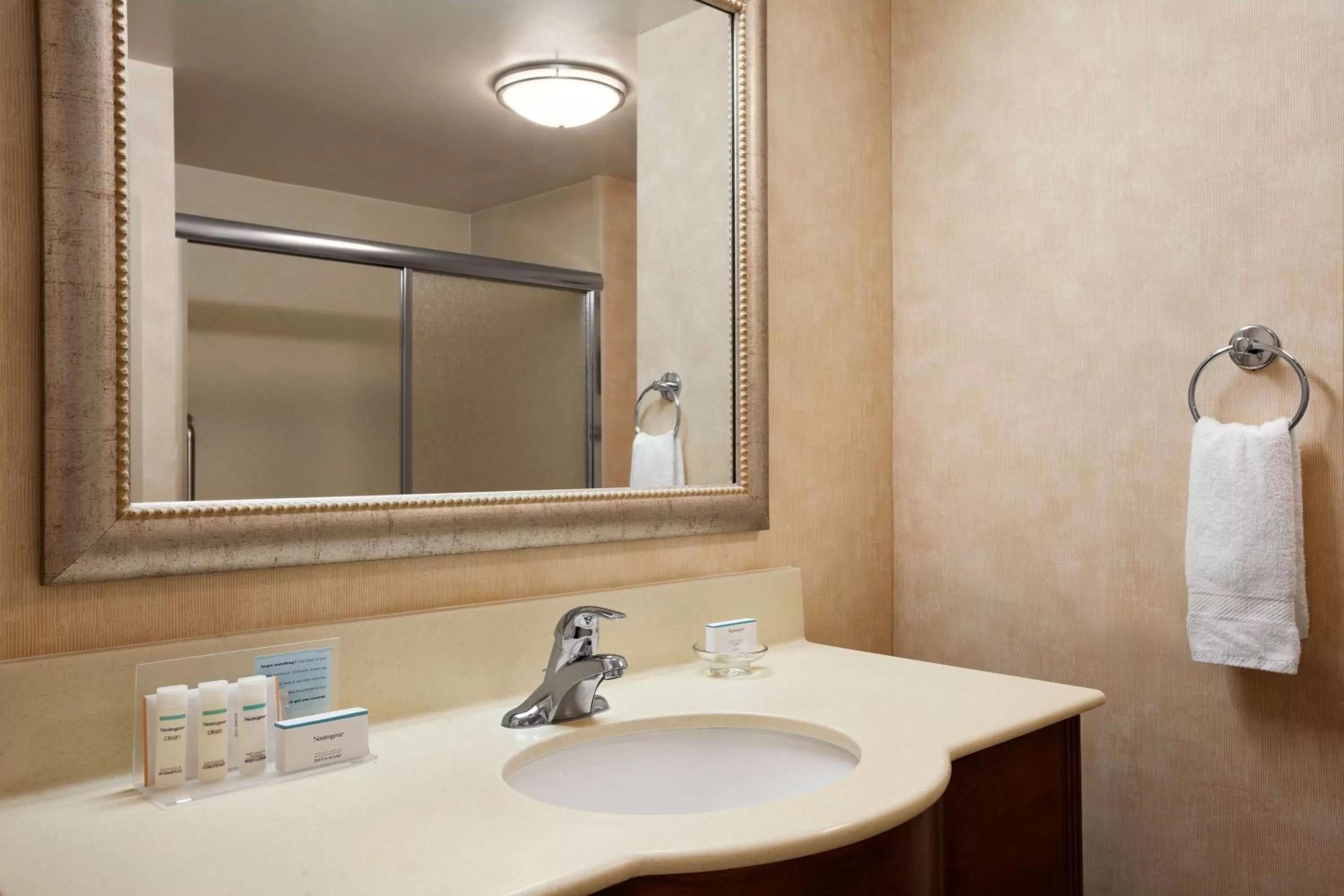 Bathroom in Hampton Inn Geneva