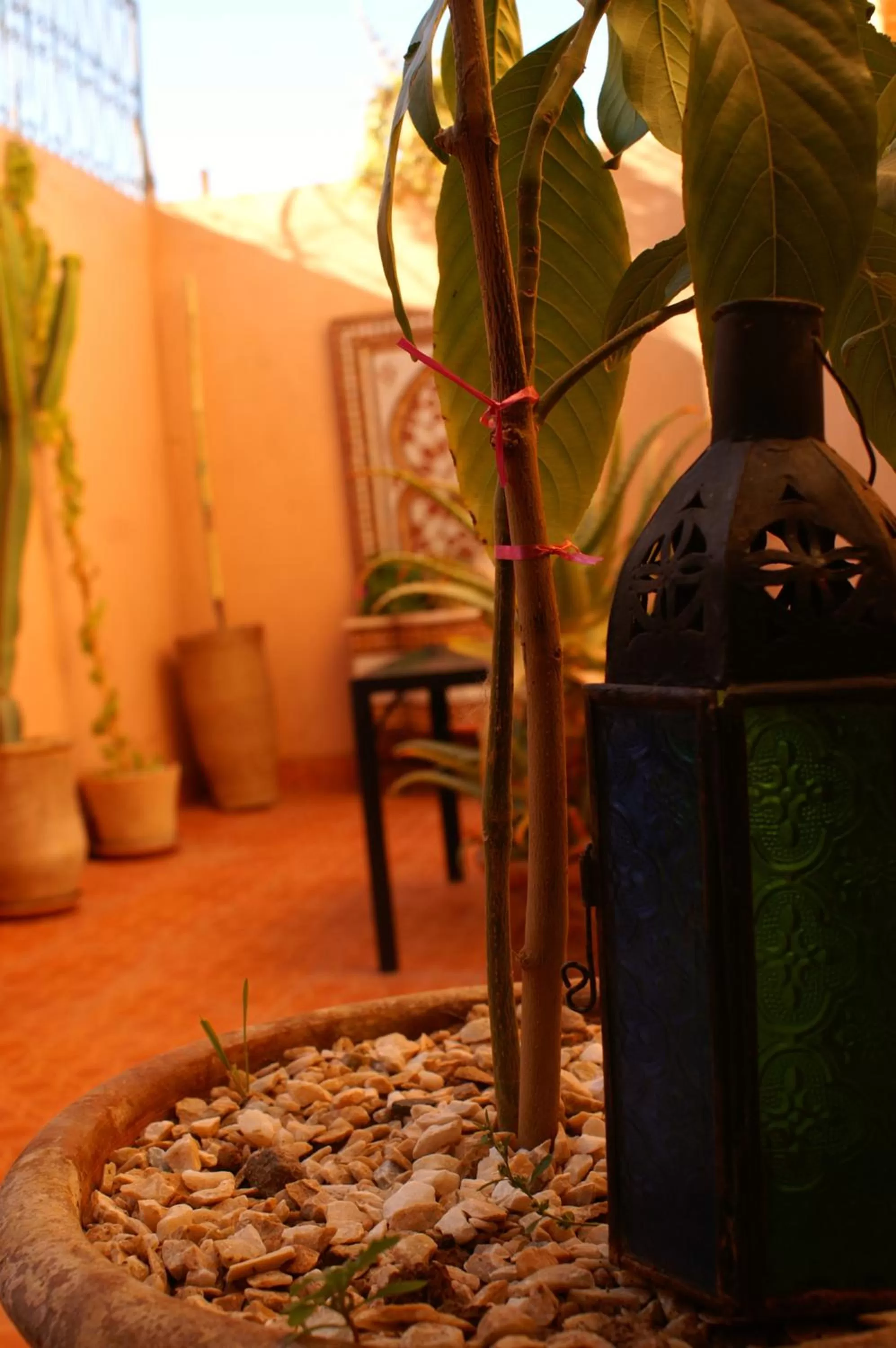 Other in Maison d'hôtes Dar El Nath