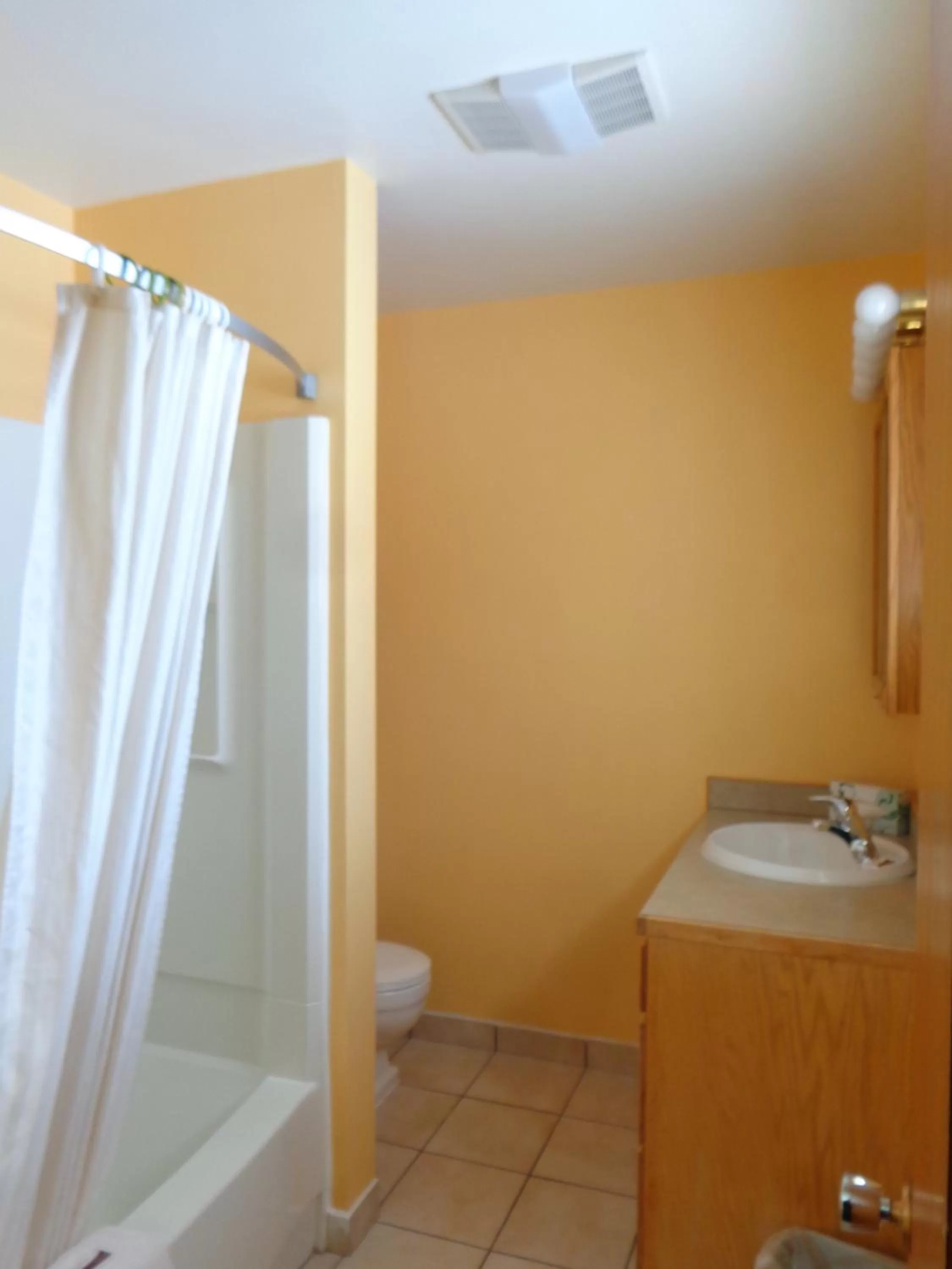 Bathroom in Western Motel