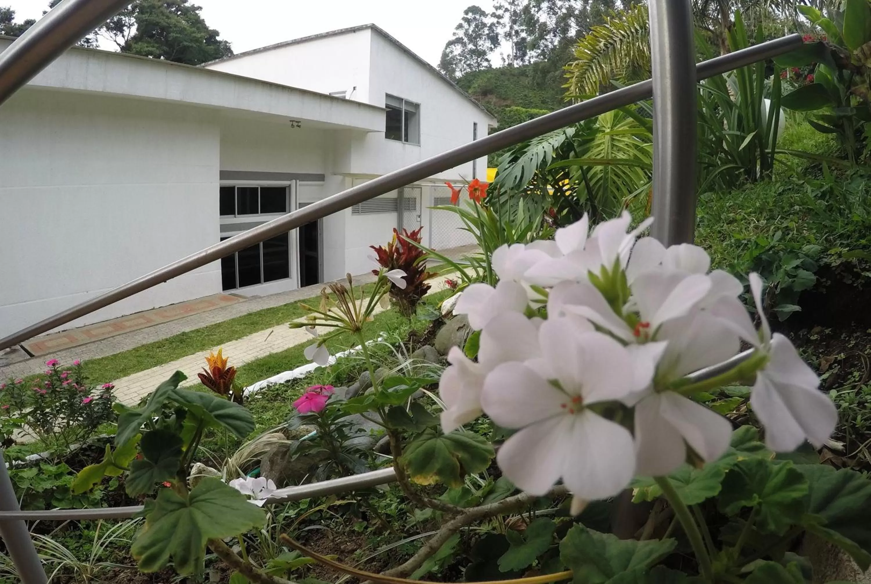 Restaurant/places to eat, Property Building in Sky Club Eco Hotel