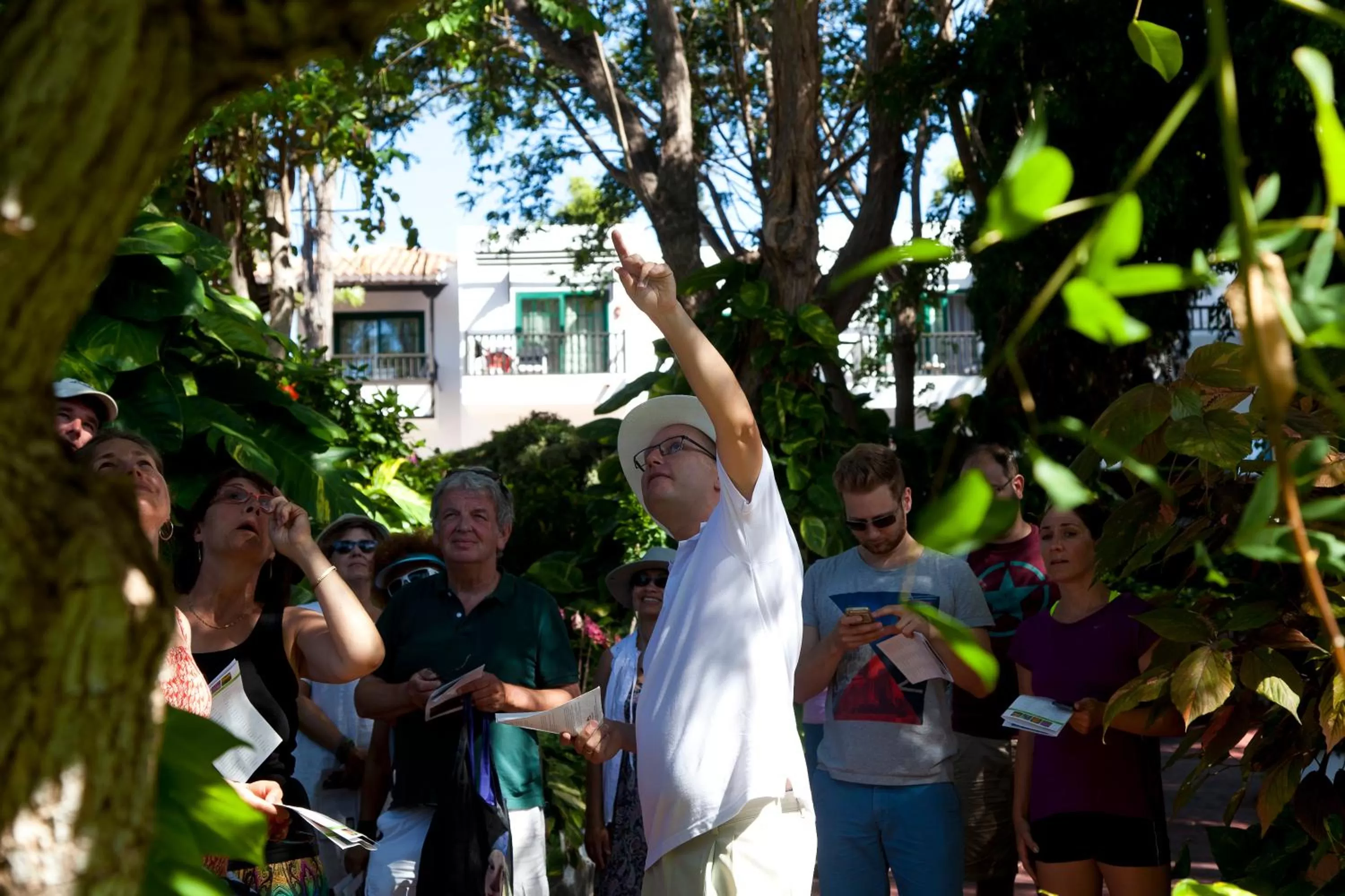 Entertainment in Hotel Jardín Tecina