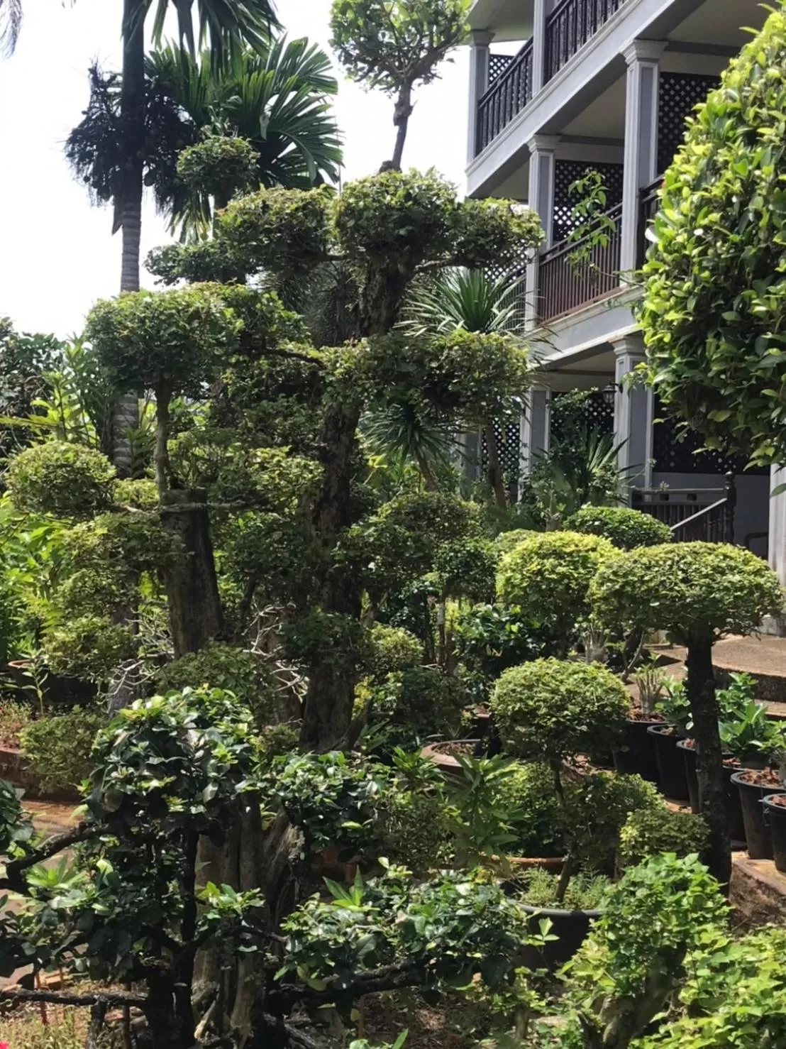 Property Building in Pratum Resort