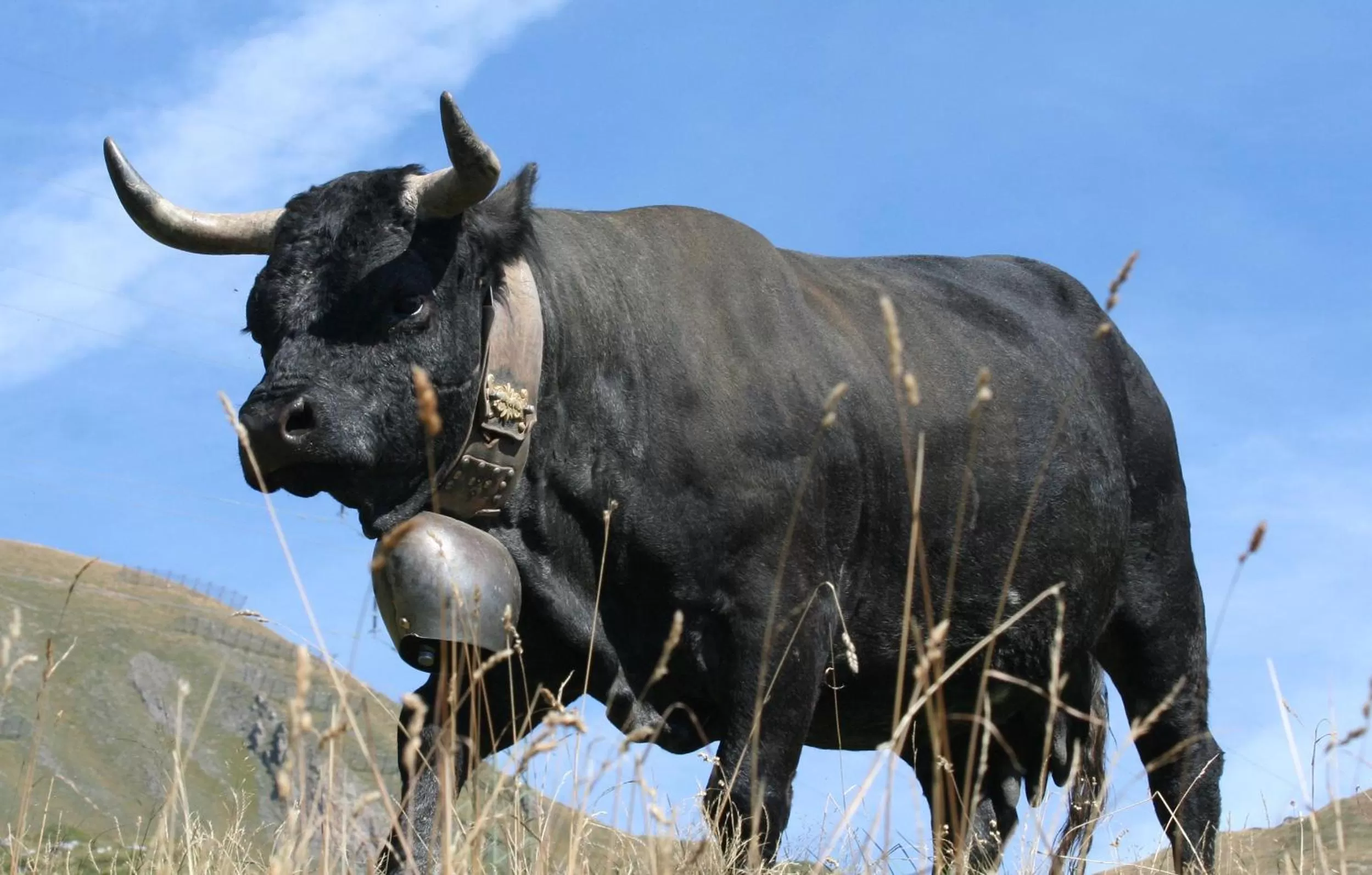Summer in BnB Claudy et Elizabeth Michellod-Dutheil