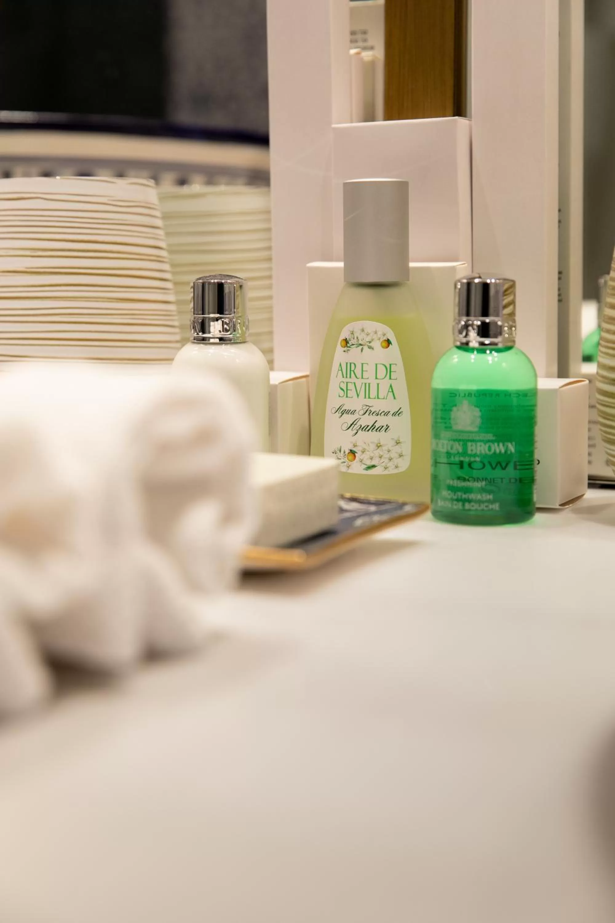 Bathroom in Hotel Casa Palacio Don Ramón